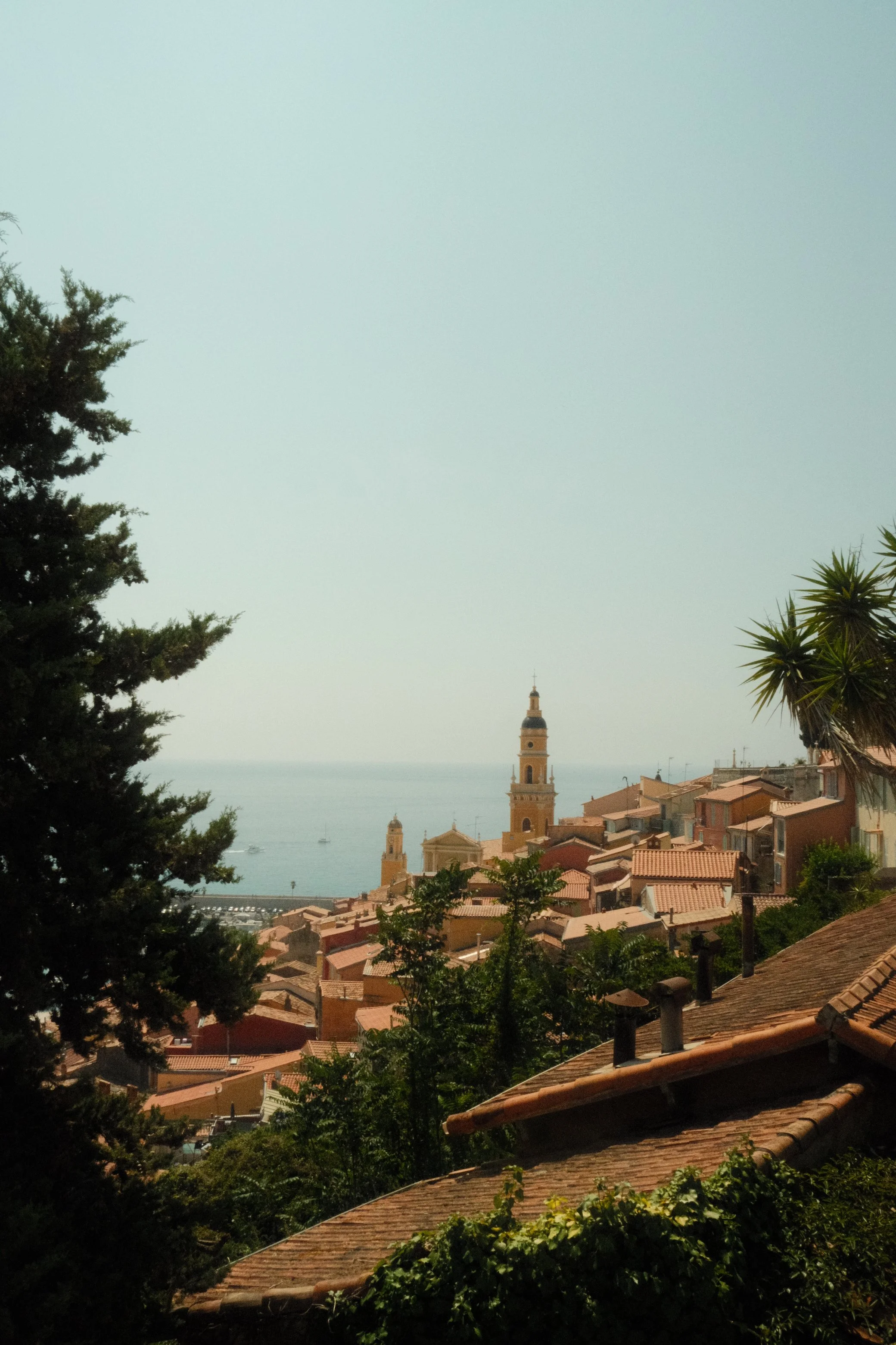 DSCF0570.JPG