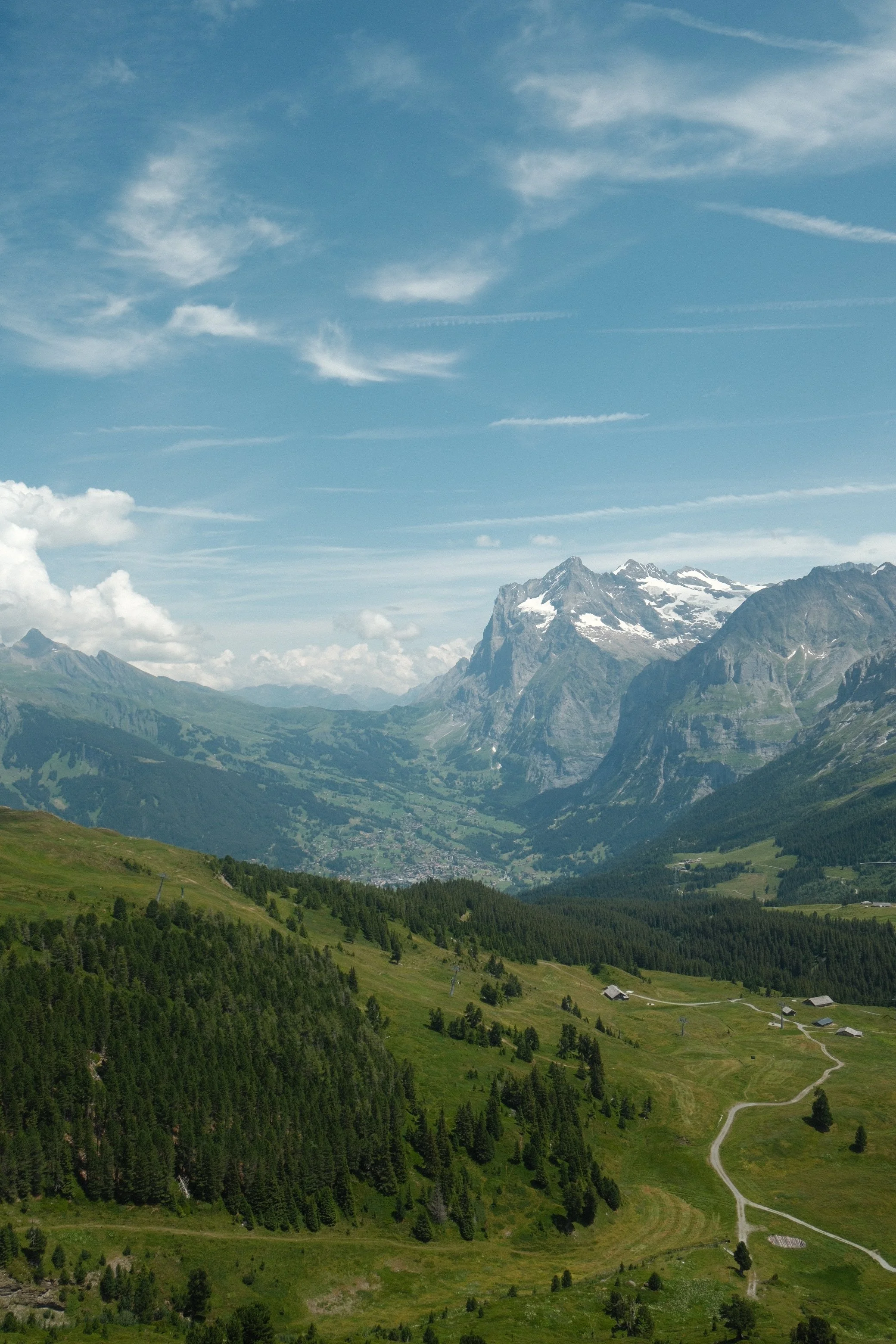 DSCF9194.jpg