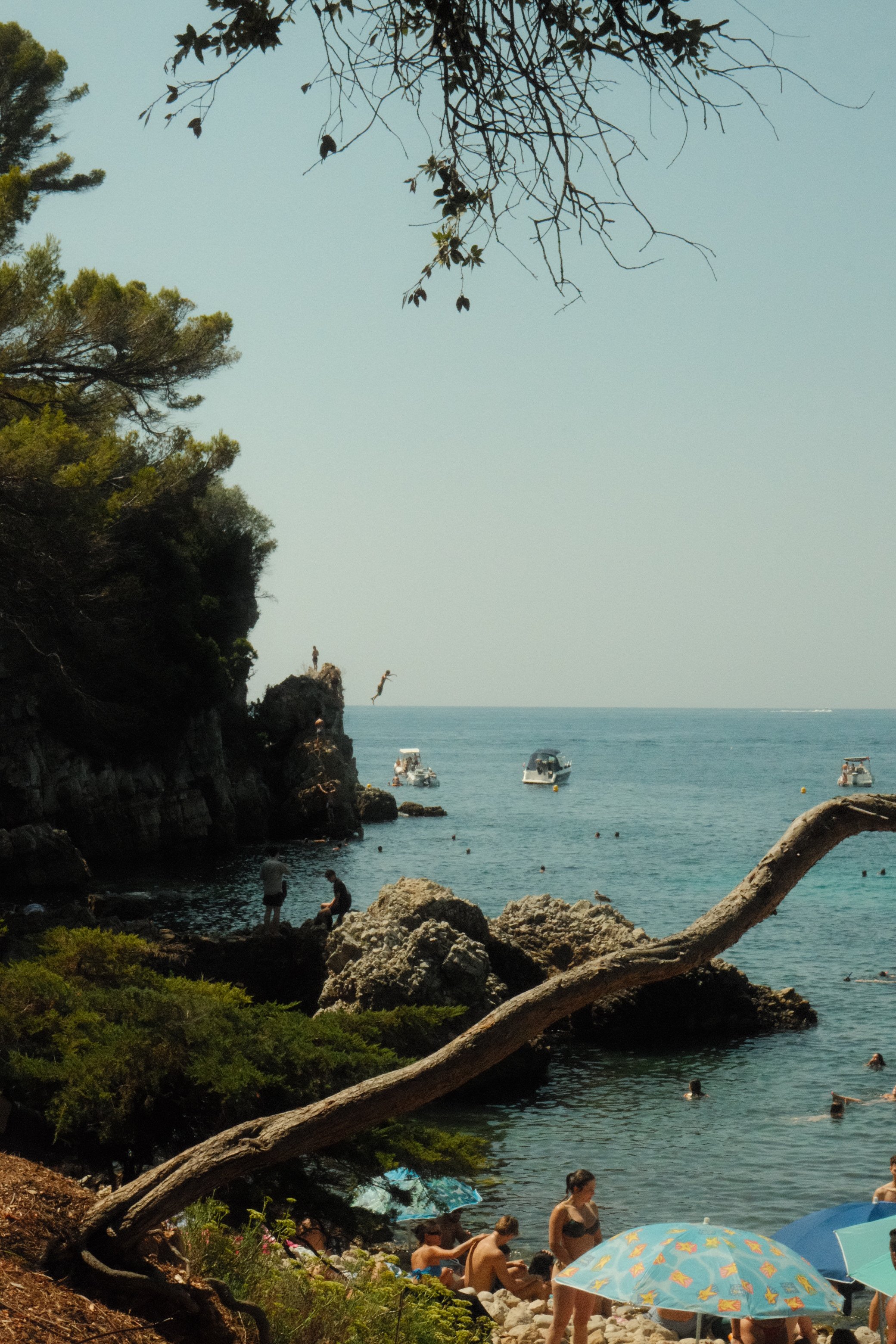 DSCF0714.JPG