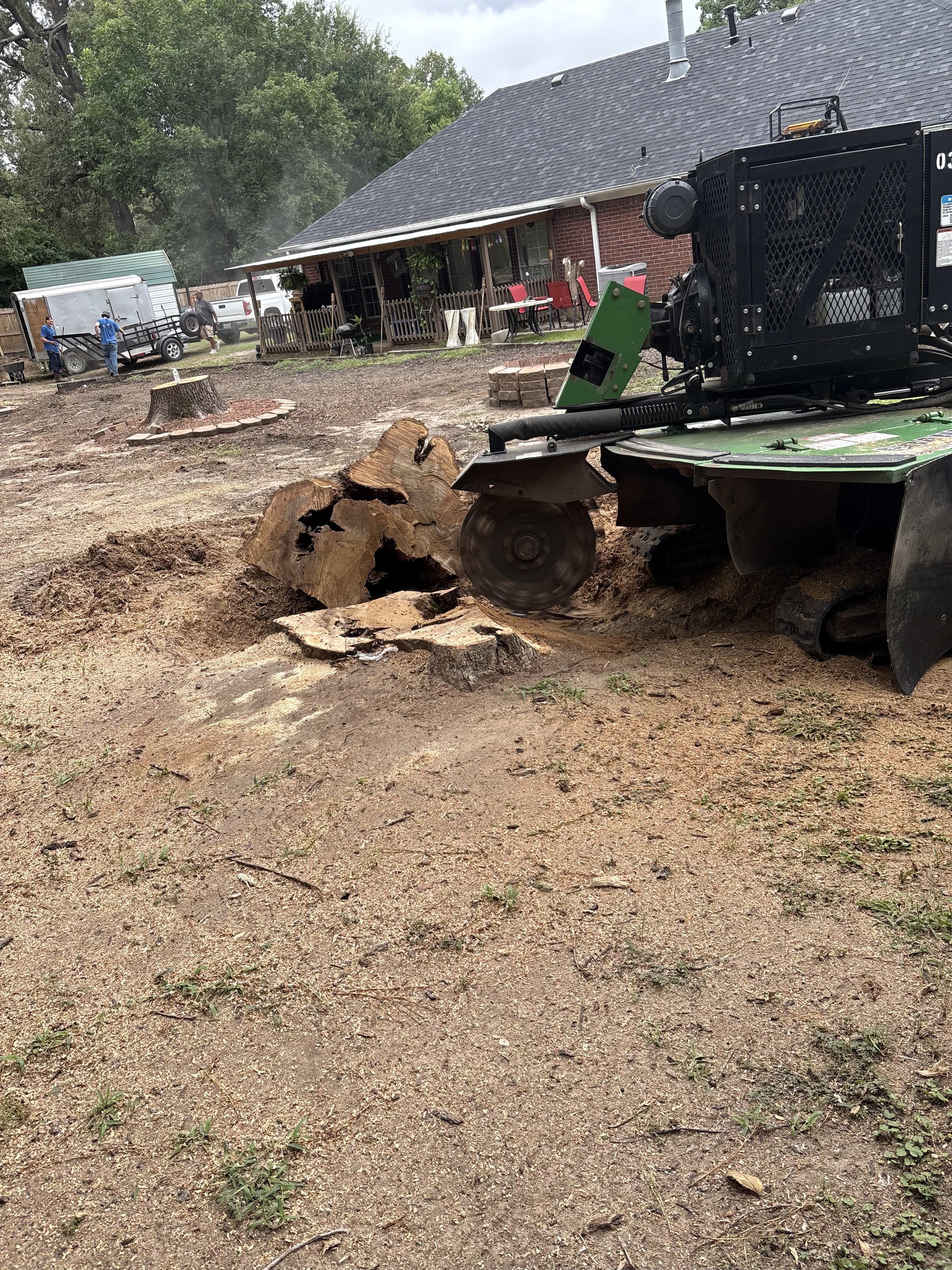 Stump Grind BIG.jpeg