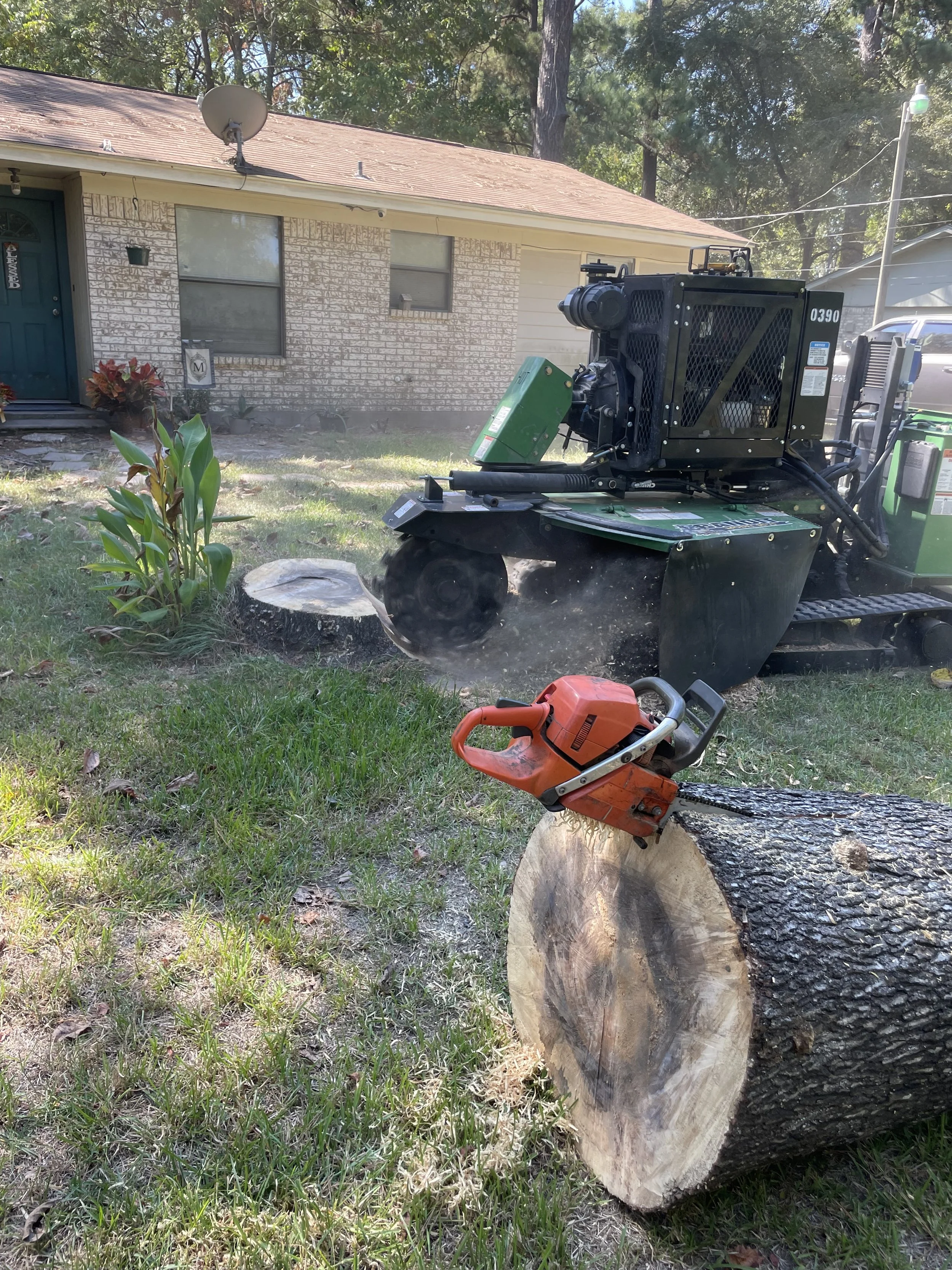 Stump grind 2.jpeg
