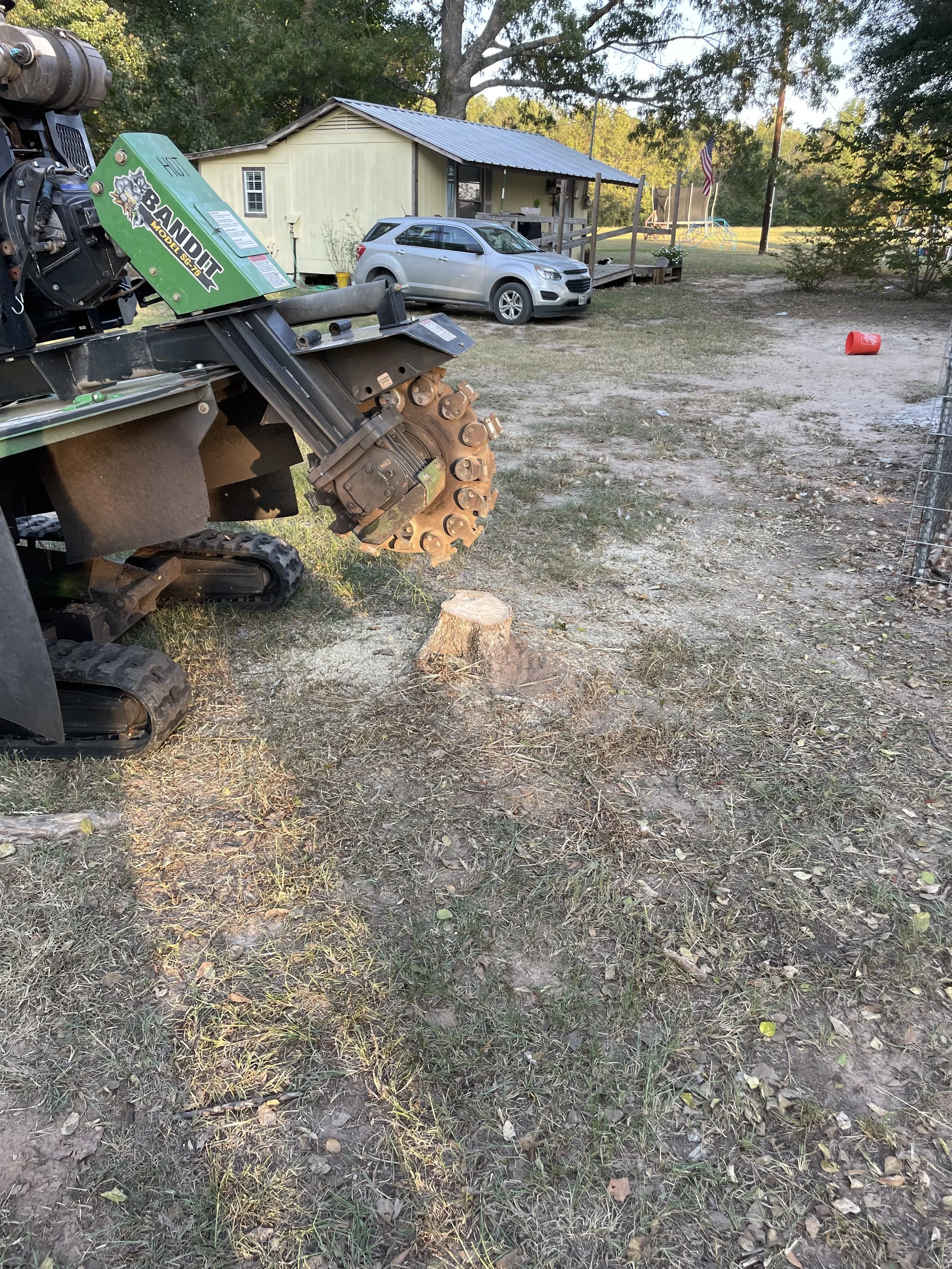 Stump Grind 1.jpeg