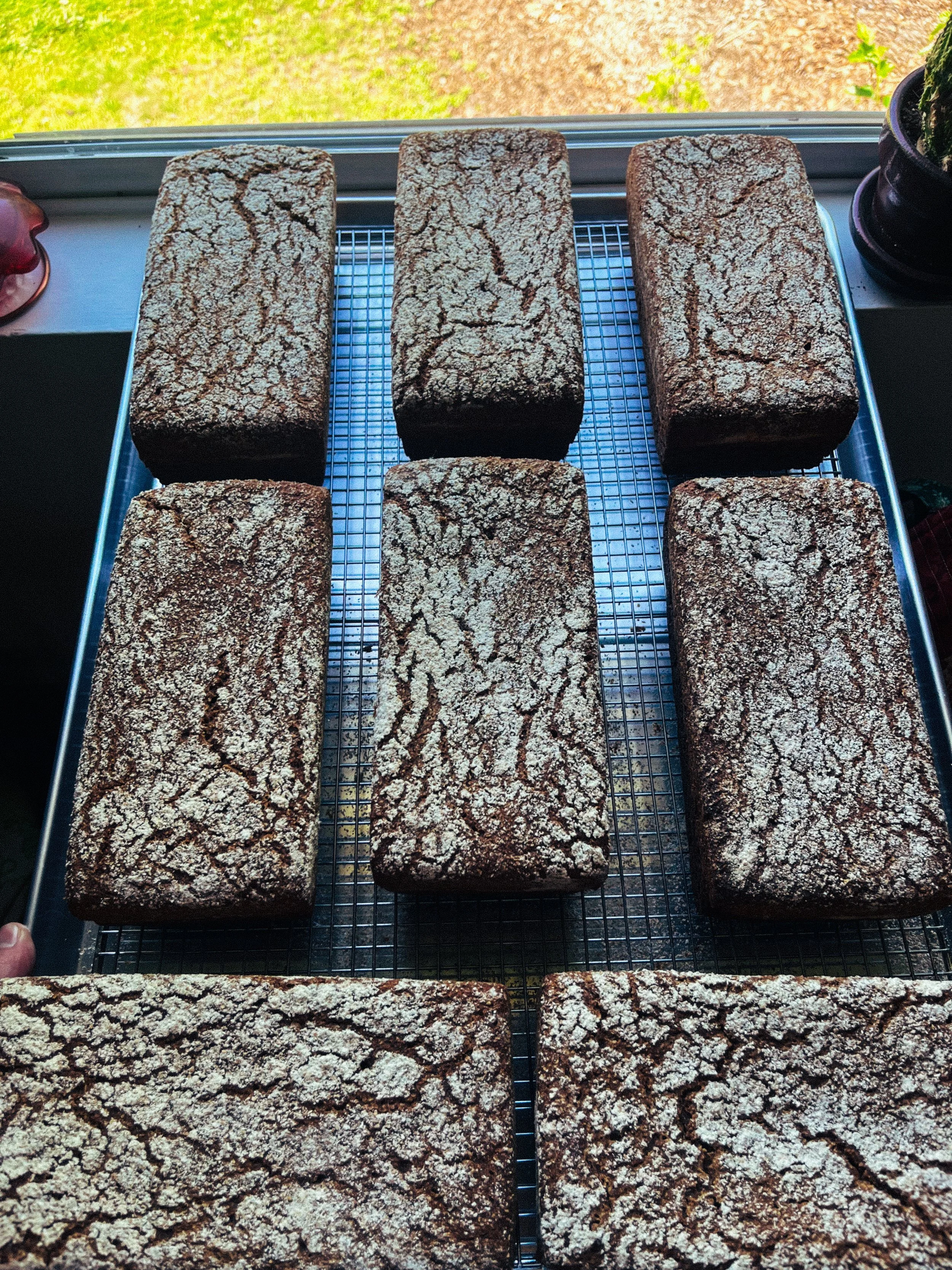 Six rectangular Rye loaves of bread with cracked, dark brown crusts cooling on a wire rack near a window with a grassy outdoor view.