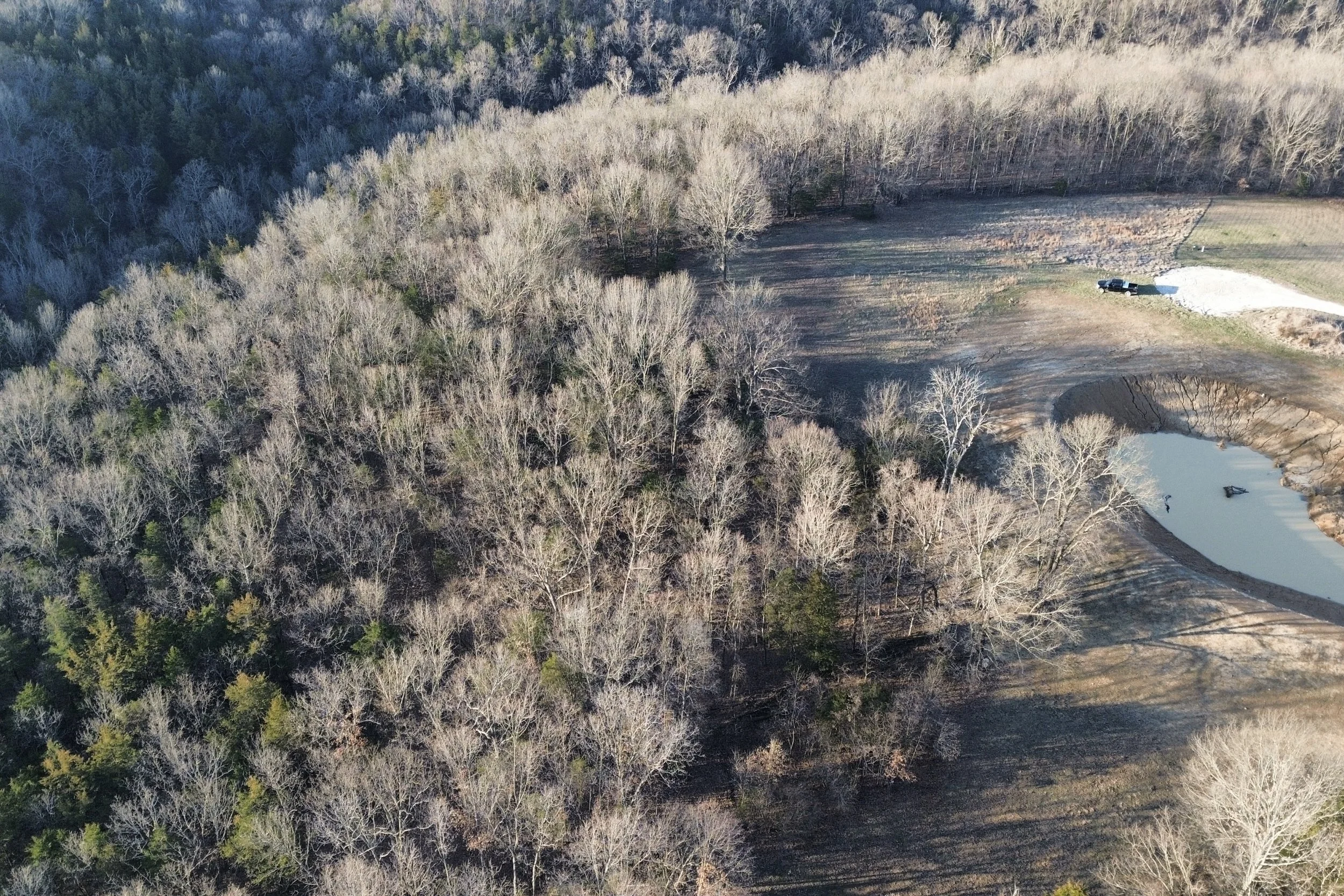 Aerial view of a wooded area with bare trees, a small pond, and a black pickup truck parked near a gravel path.