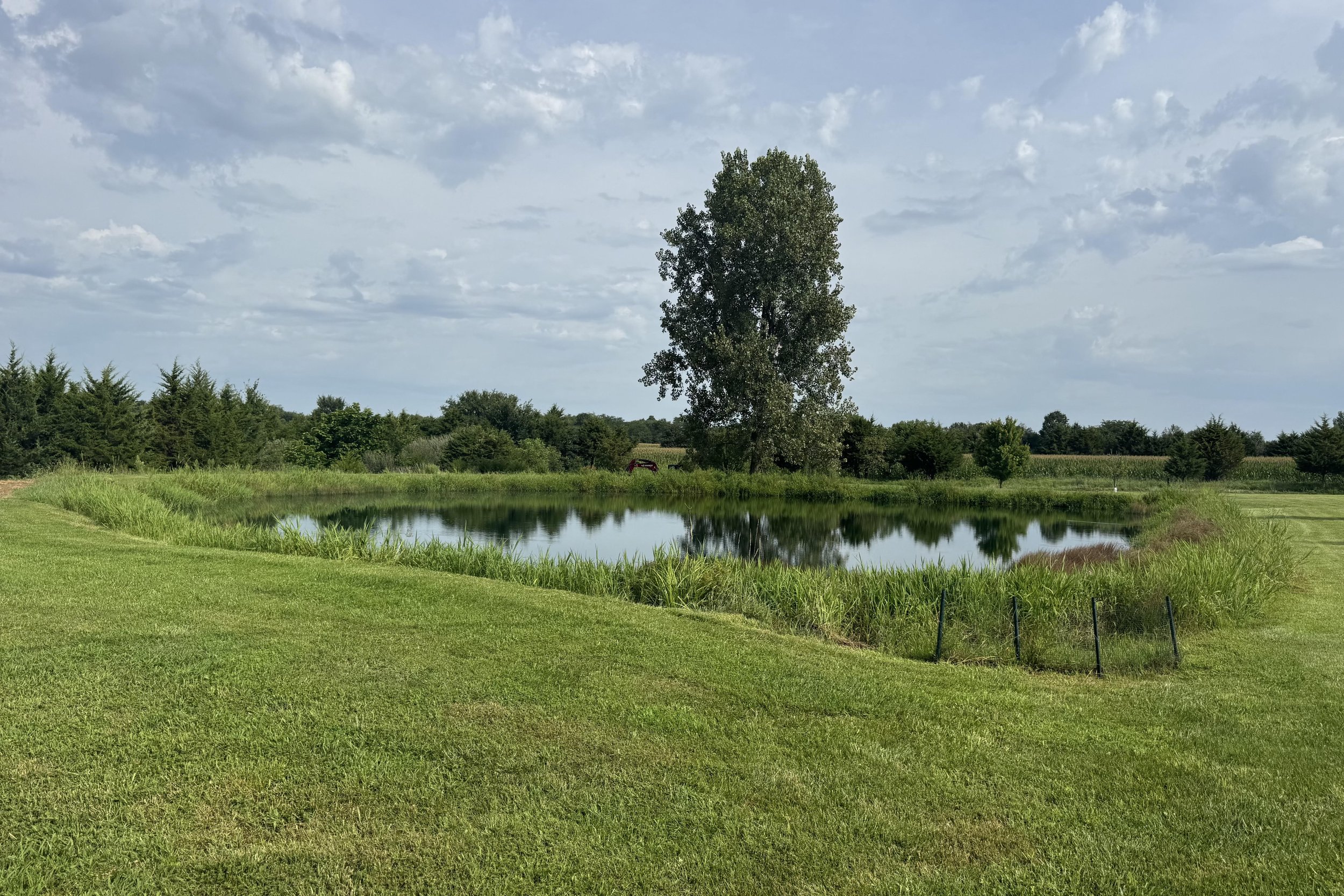A serene landscape with a pond surrounded by lush green grass, trees, and a cloudy sky.