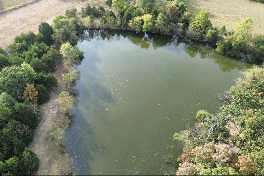 Aerial view of a pond surrounded by trees and greenery.
