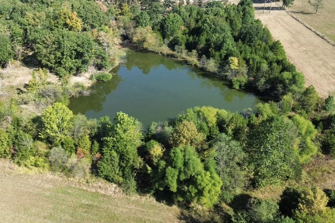 An aerial view of a small pond surrounded by dense green trees and farmland.