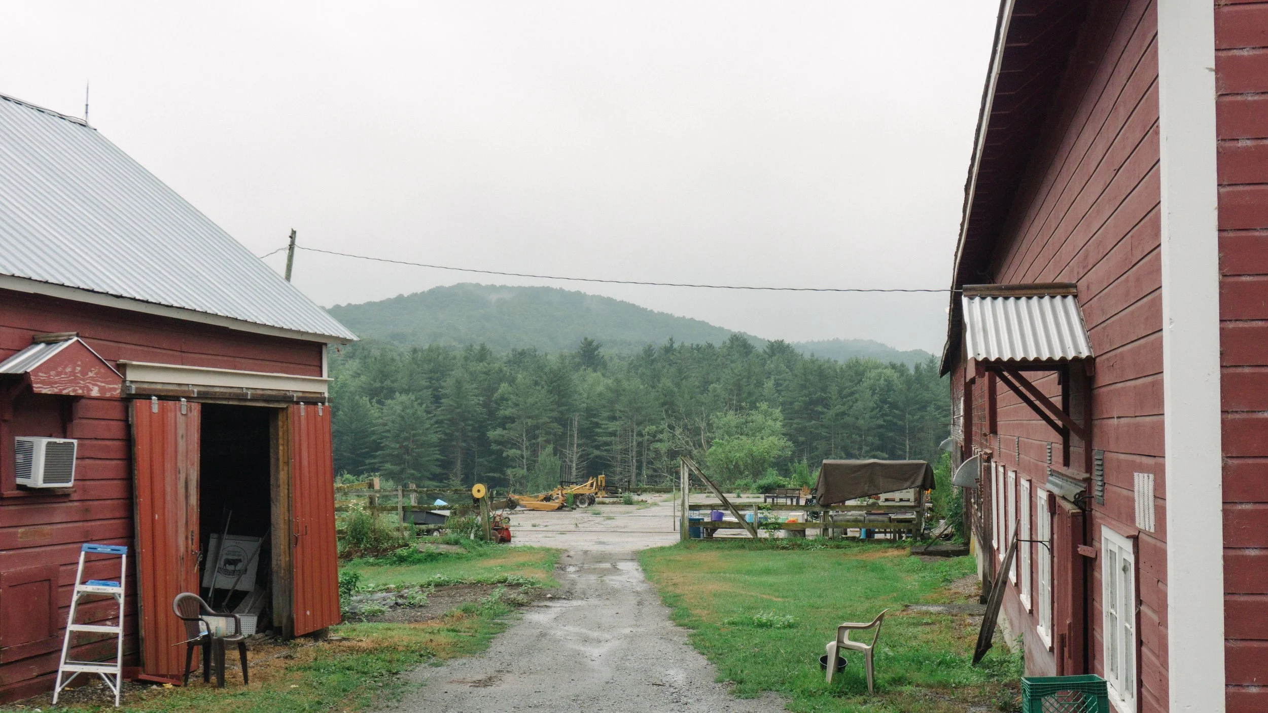 Copy_of_DSC00520[1] (1).jpg