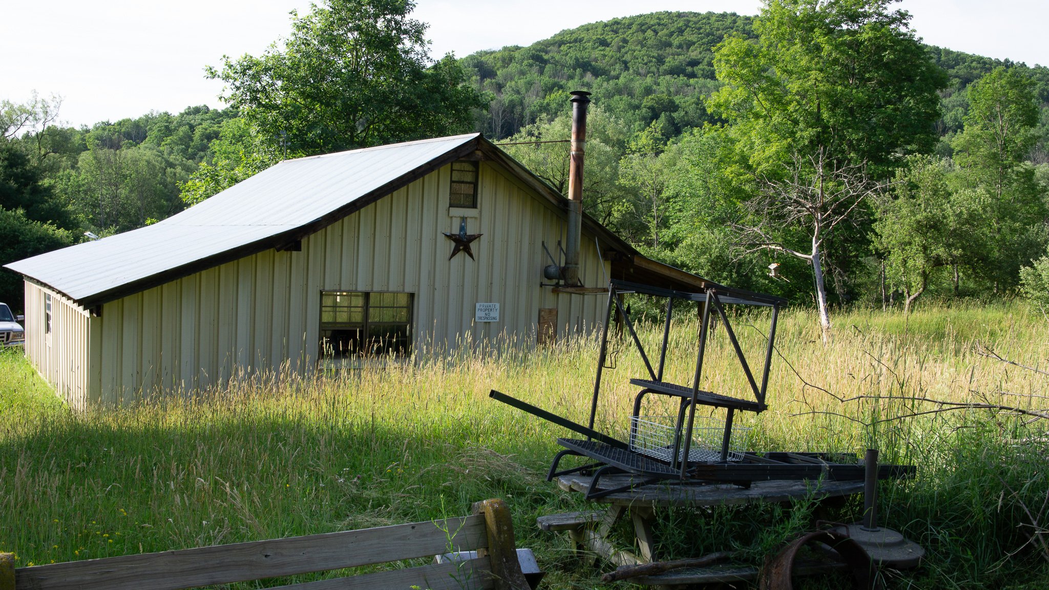 DSC09797.jpg