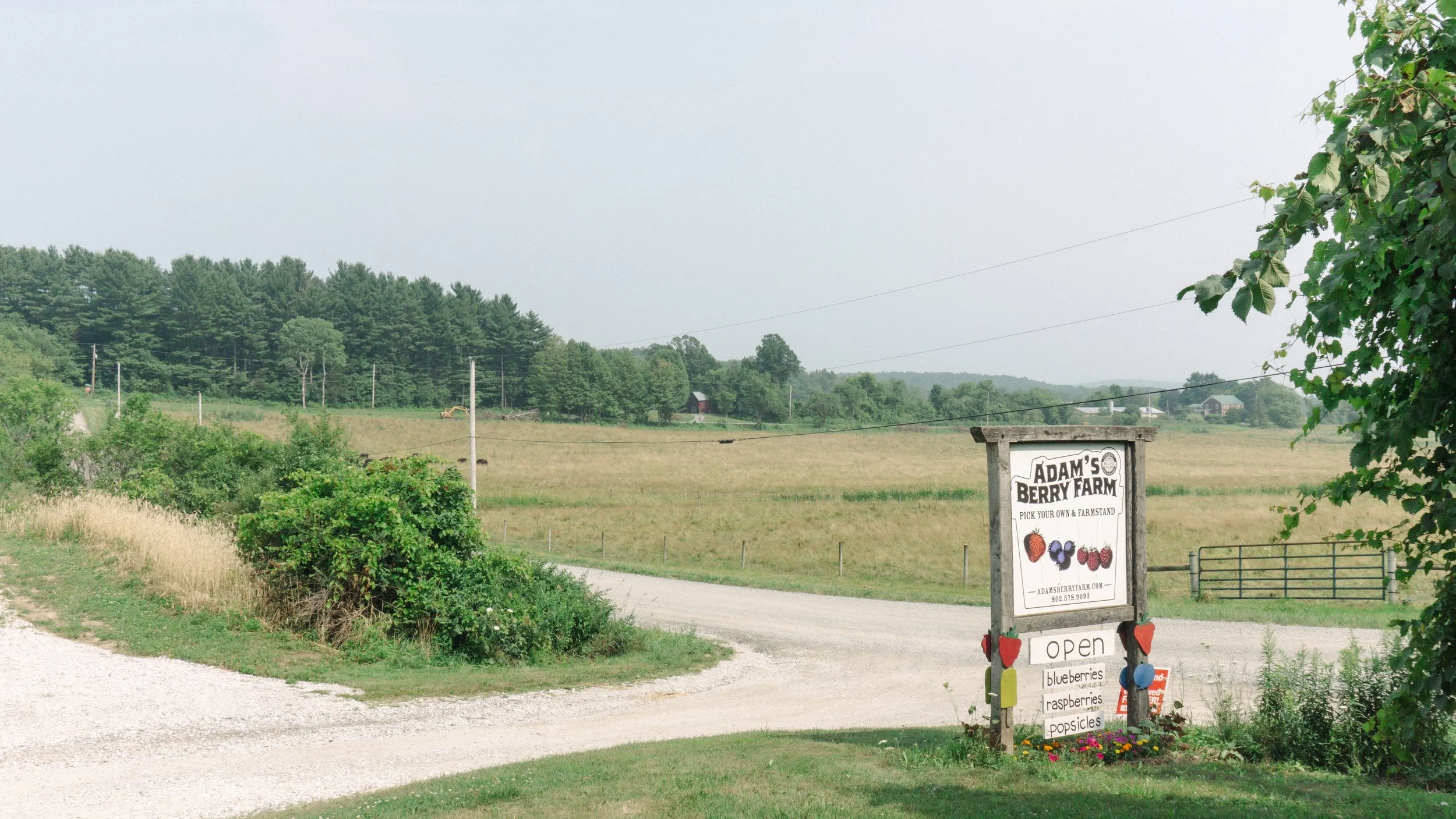 Copy_of_DSC00430[1].jpg