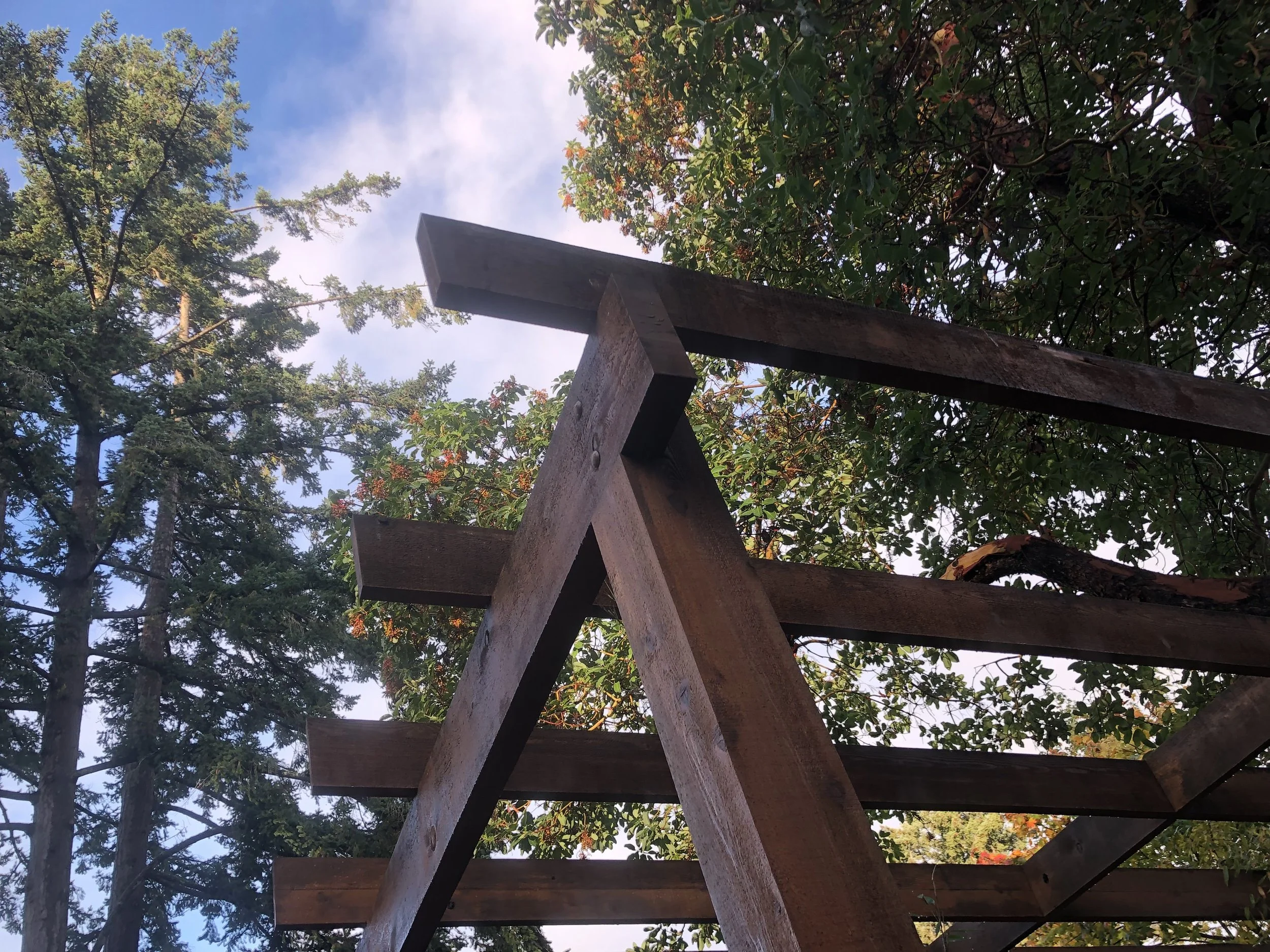 A wooden fence with a pointed top in the foreground, surrounded by green trees and foliage, with a partly cloudy blue sky above.