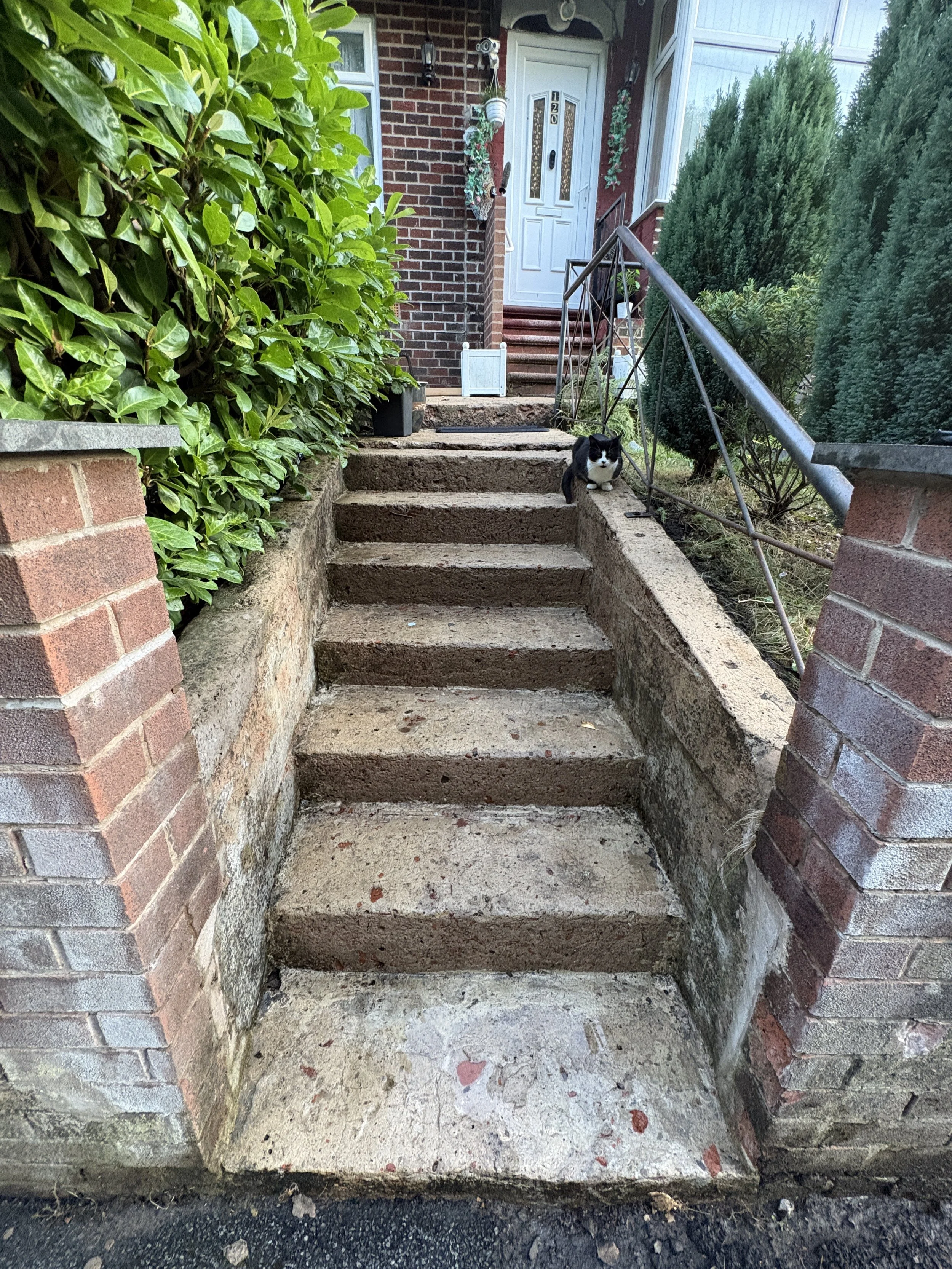 Concrete steps leading up to a front door with a brick and siding house. A black and white cat is sitting on the second step. There is greenery on either side of the steps, including a large bush on the left and tall bushes on the right. The house ha