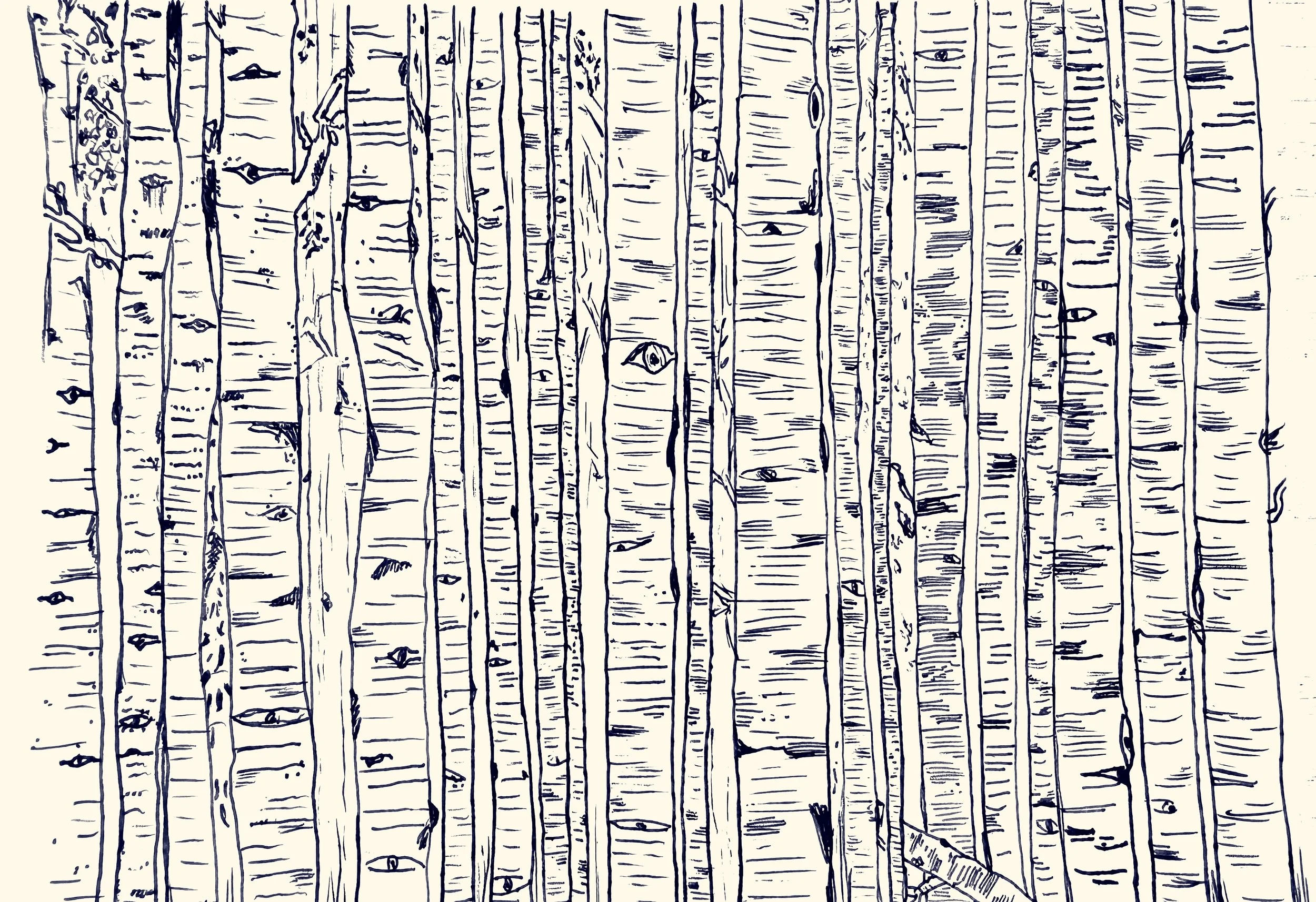 Birches