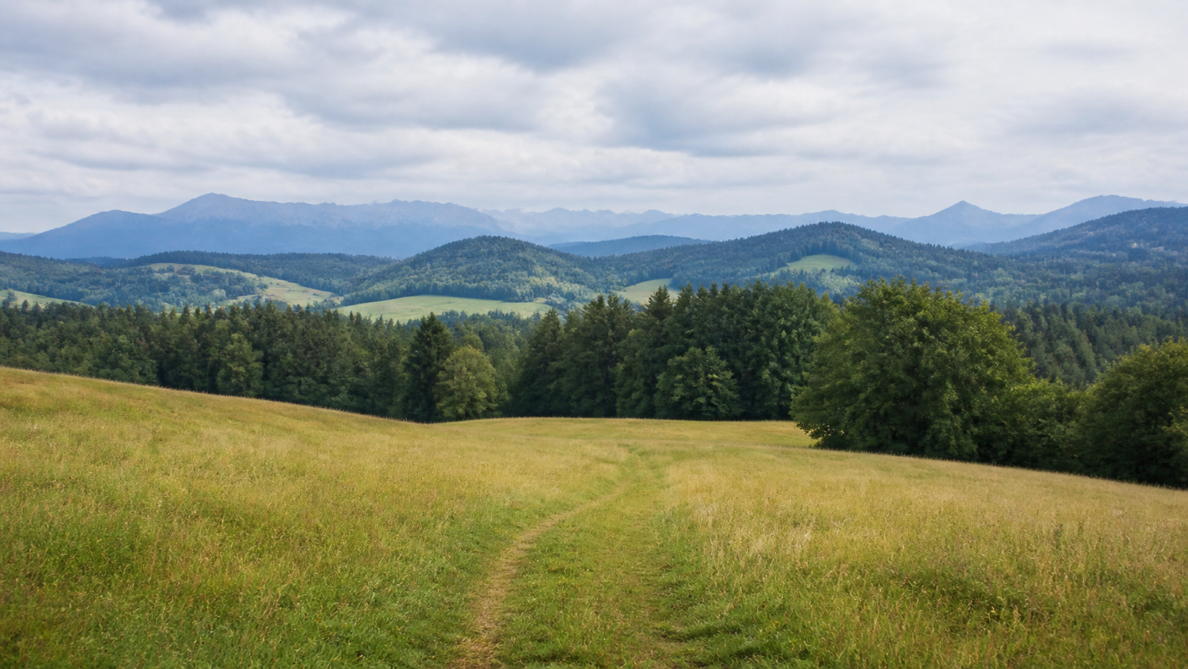 Berufliche Neuorientierung mit 50: Erfahrung nutzen und neue Perspektiven entwickeln