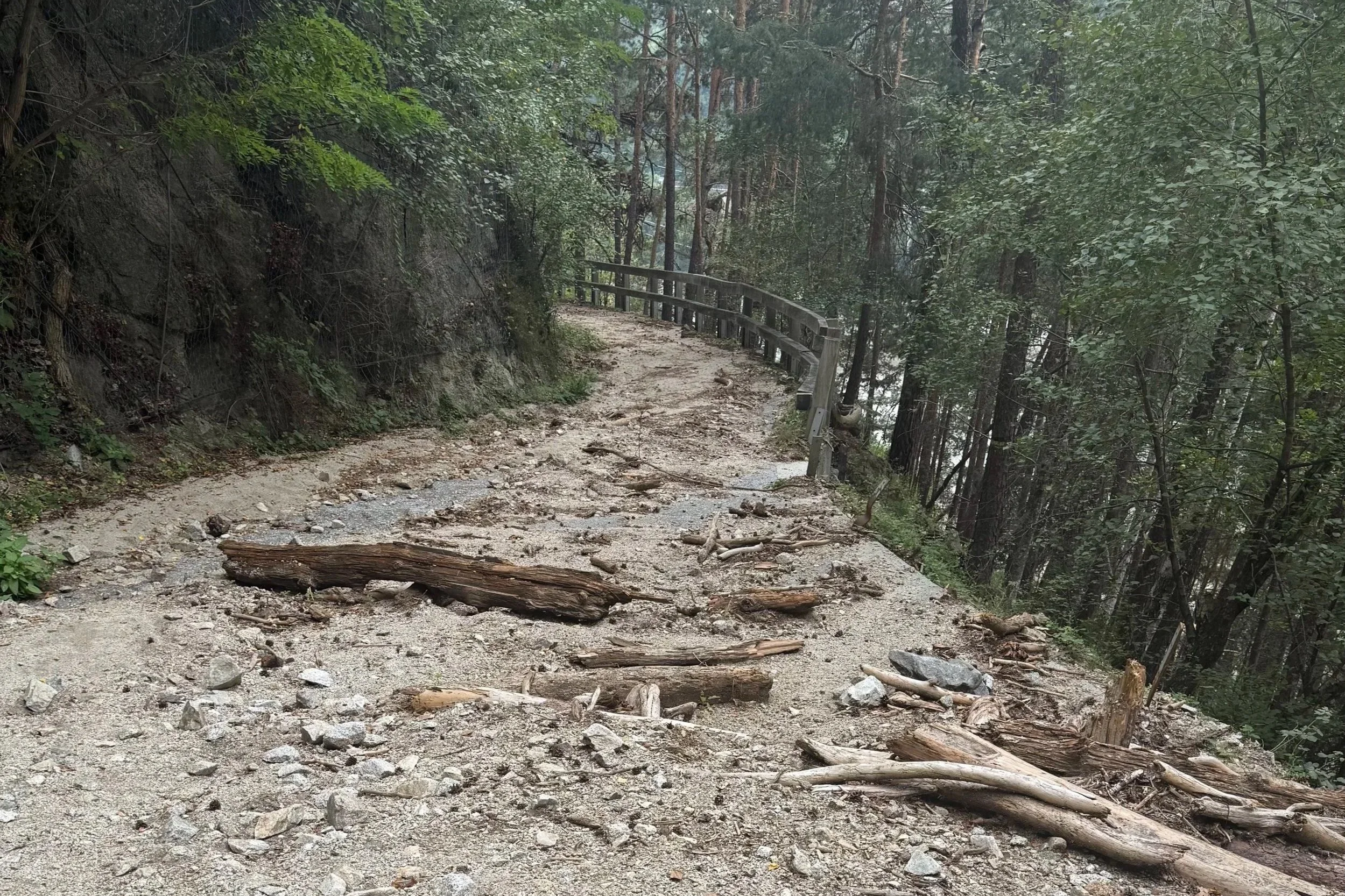 Durch einen Murenabgang beschädigter Radweg im Wald auf der Bikepacking-Tour nach Bozen
