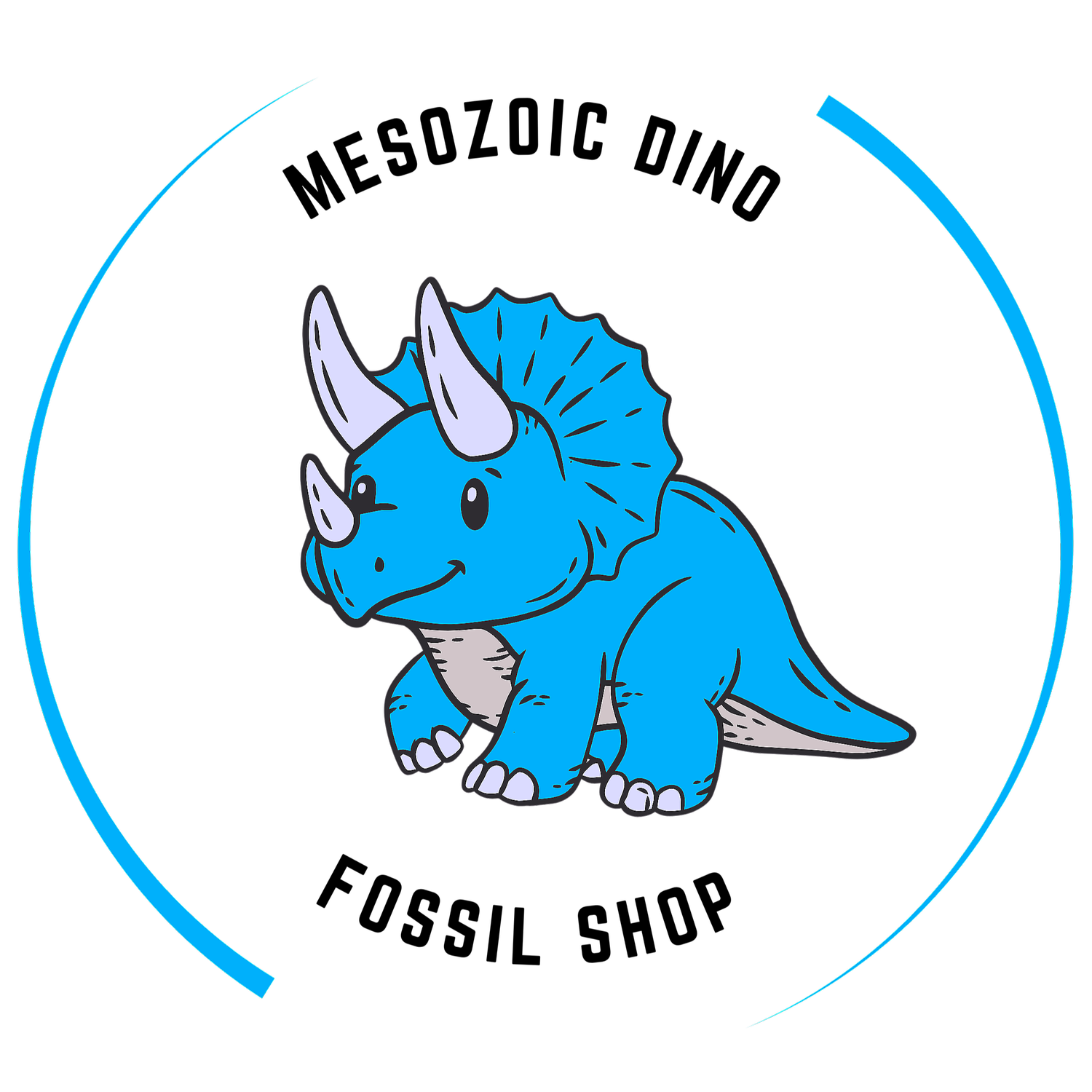 Mesozoic Dino Fossil Shop