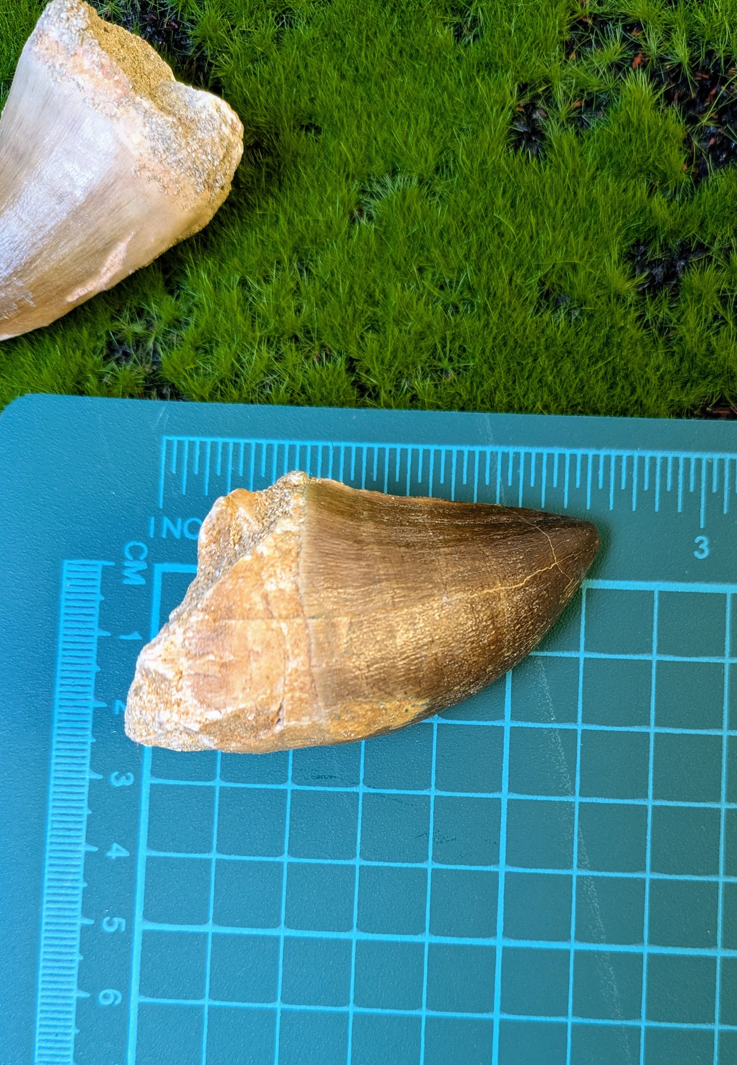PXL_20260930_224427310.jpg