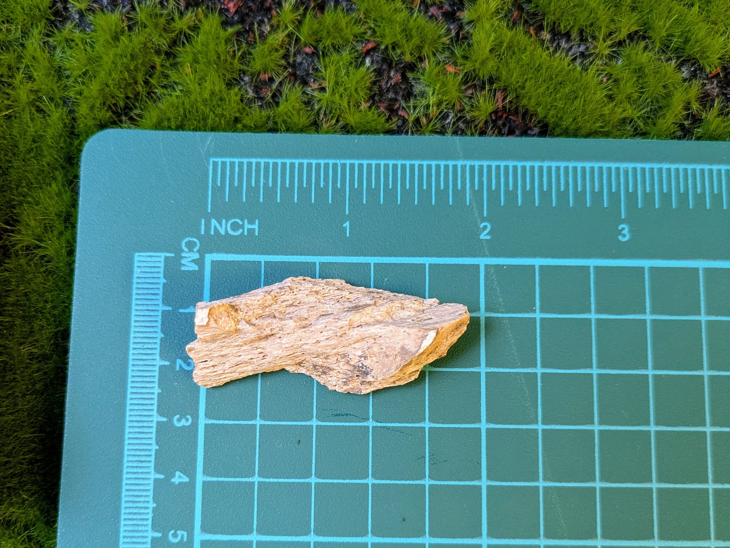 PXL_20260930_231208313.jpg