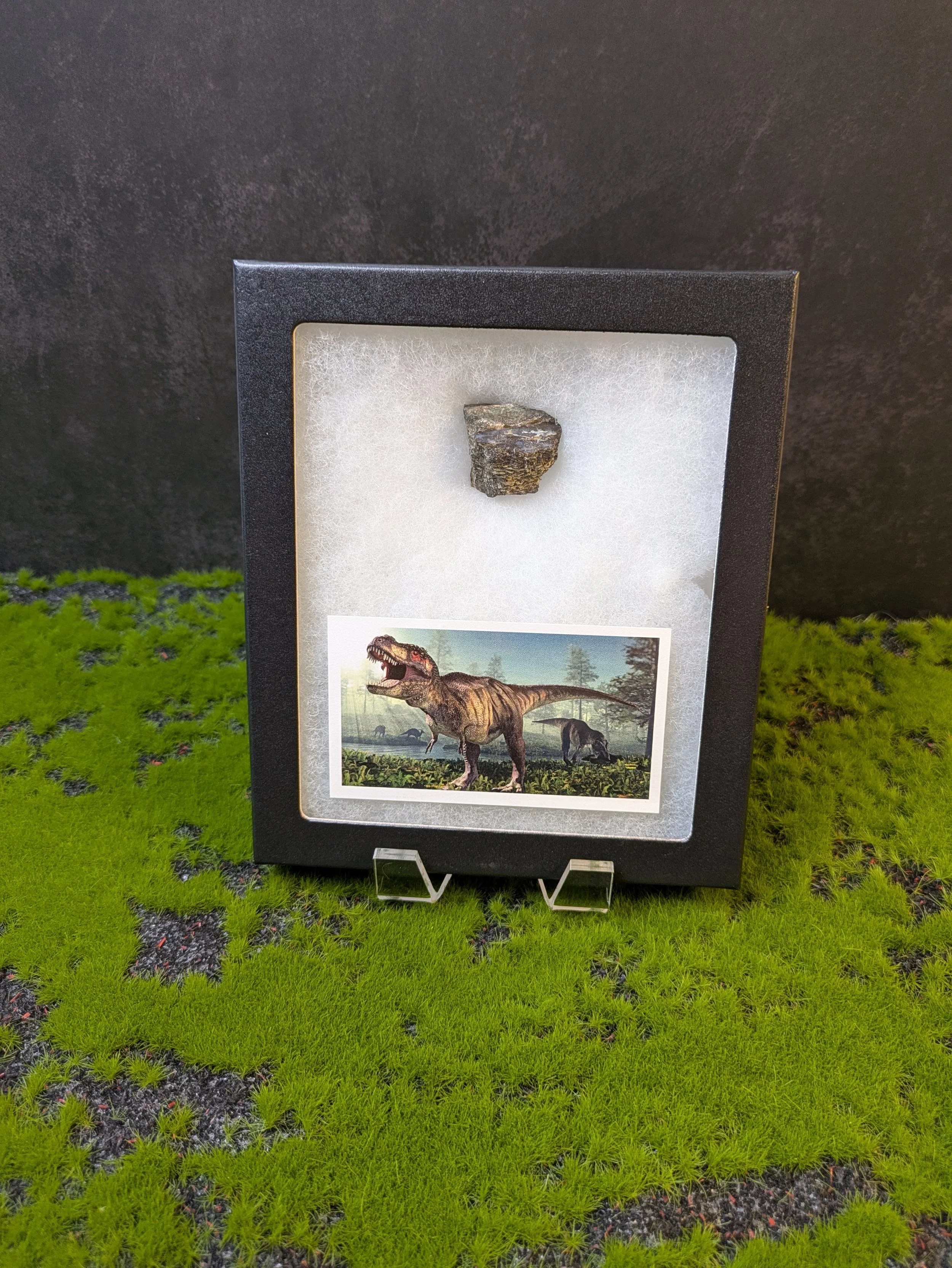 TYRANNOSAURUS REX