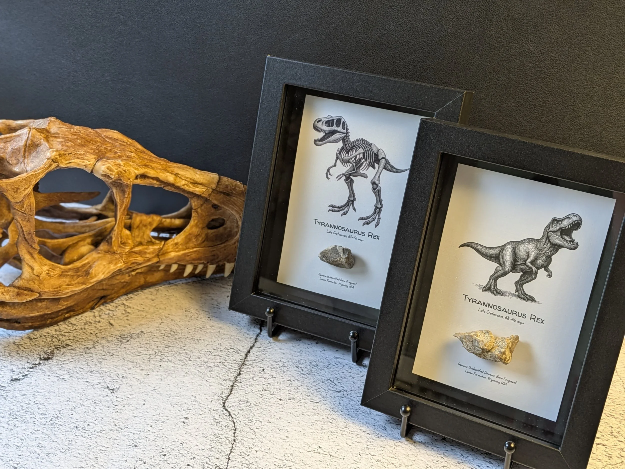 DINOSAUR ART SHADOW BOX