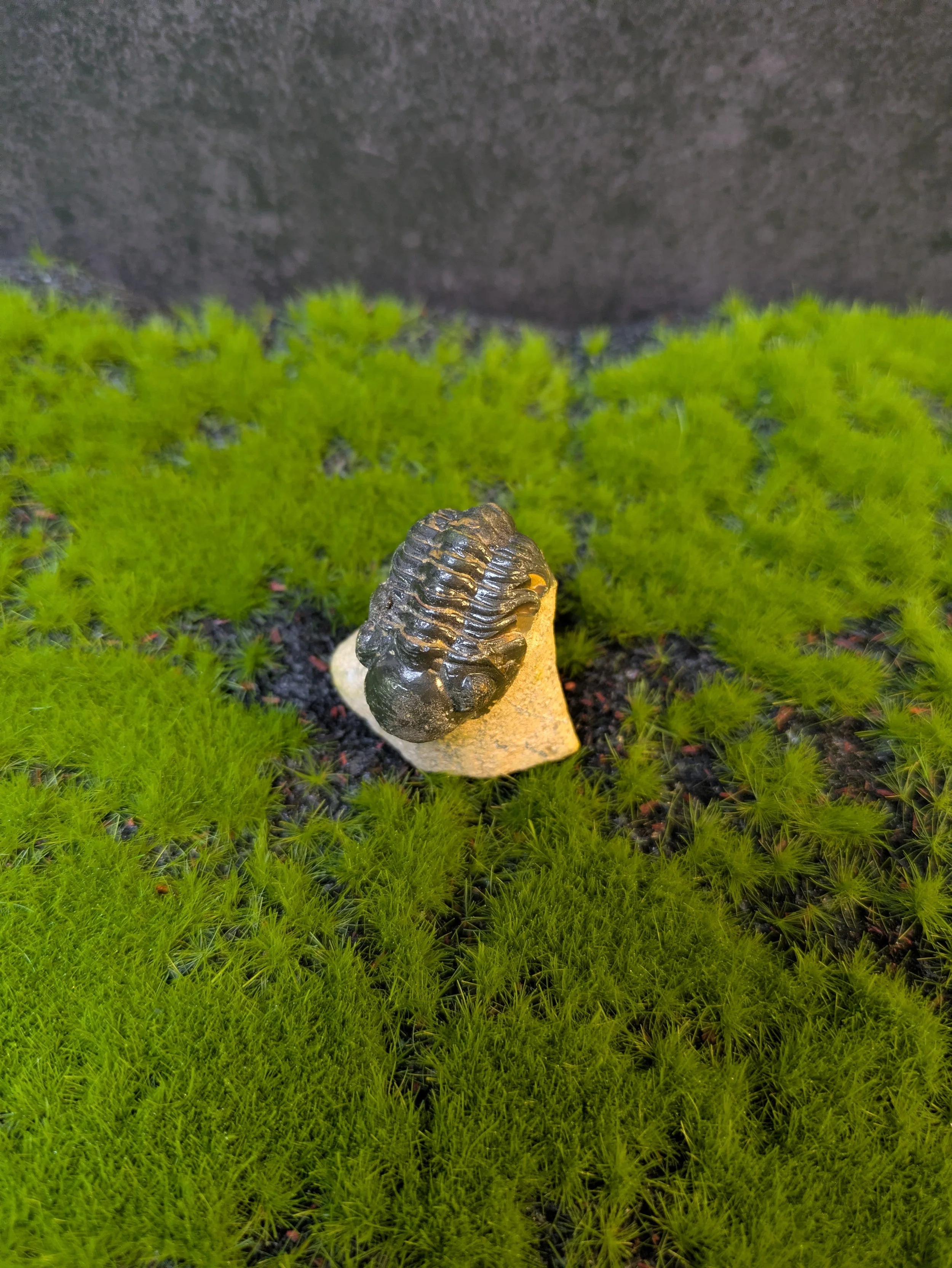 PXL_20260930_224855311.jpg