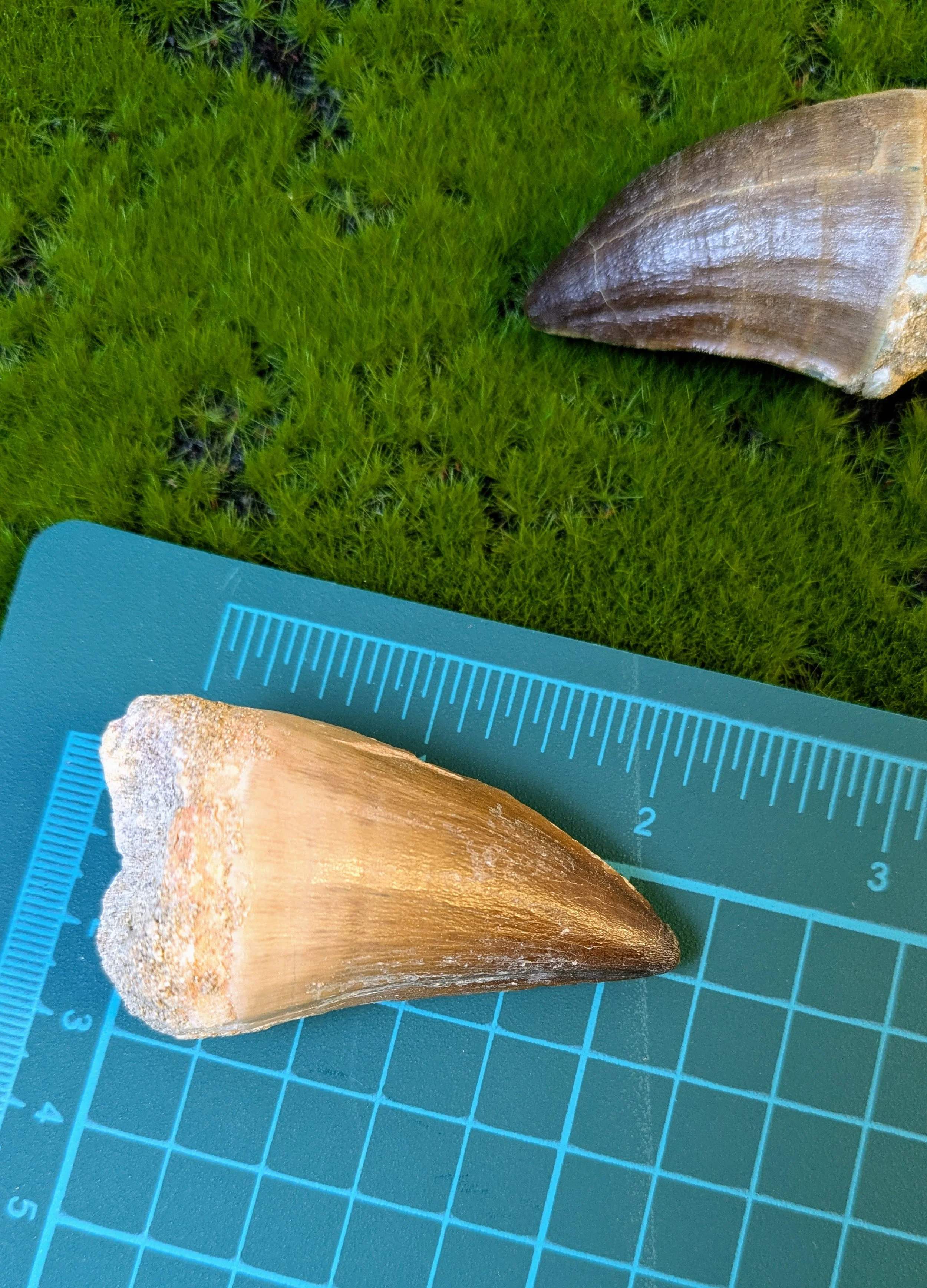PXL_20260930_224440444.jpg