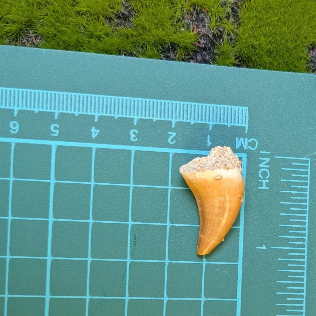 PXL_20260930_232521604.jpg