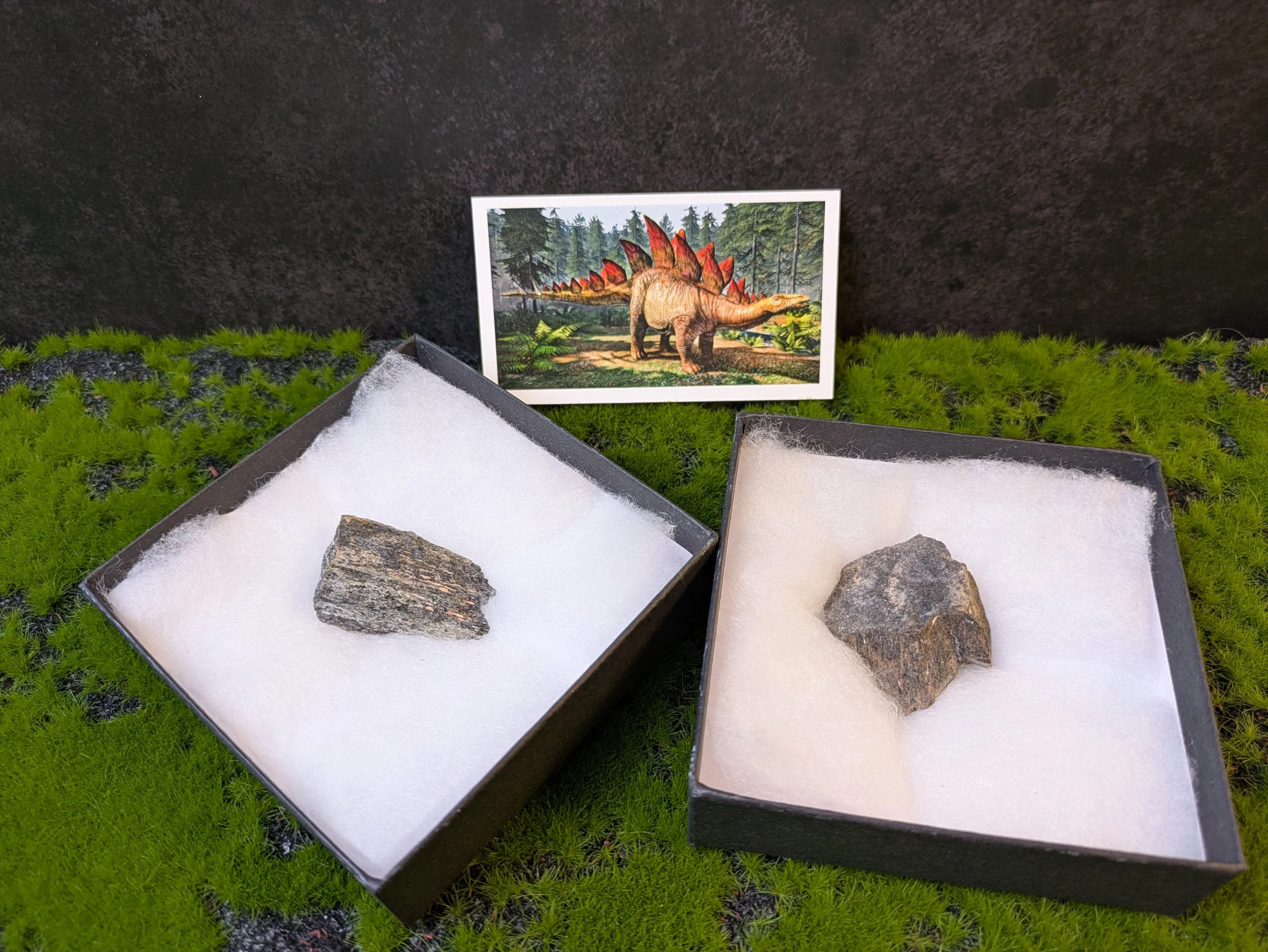 STEGOSAURUS