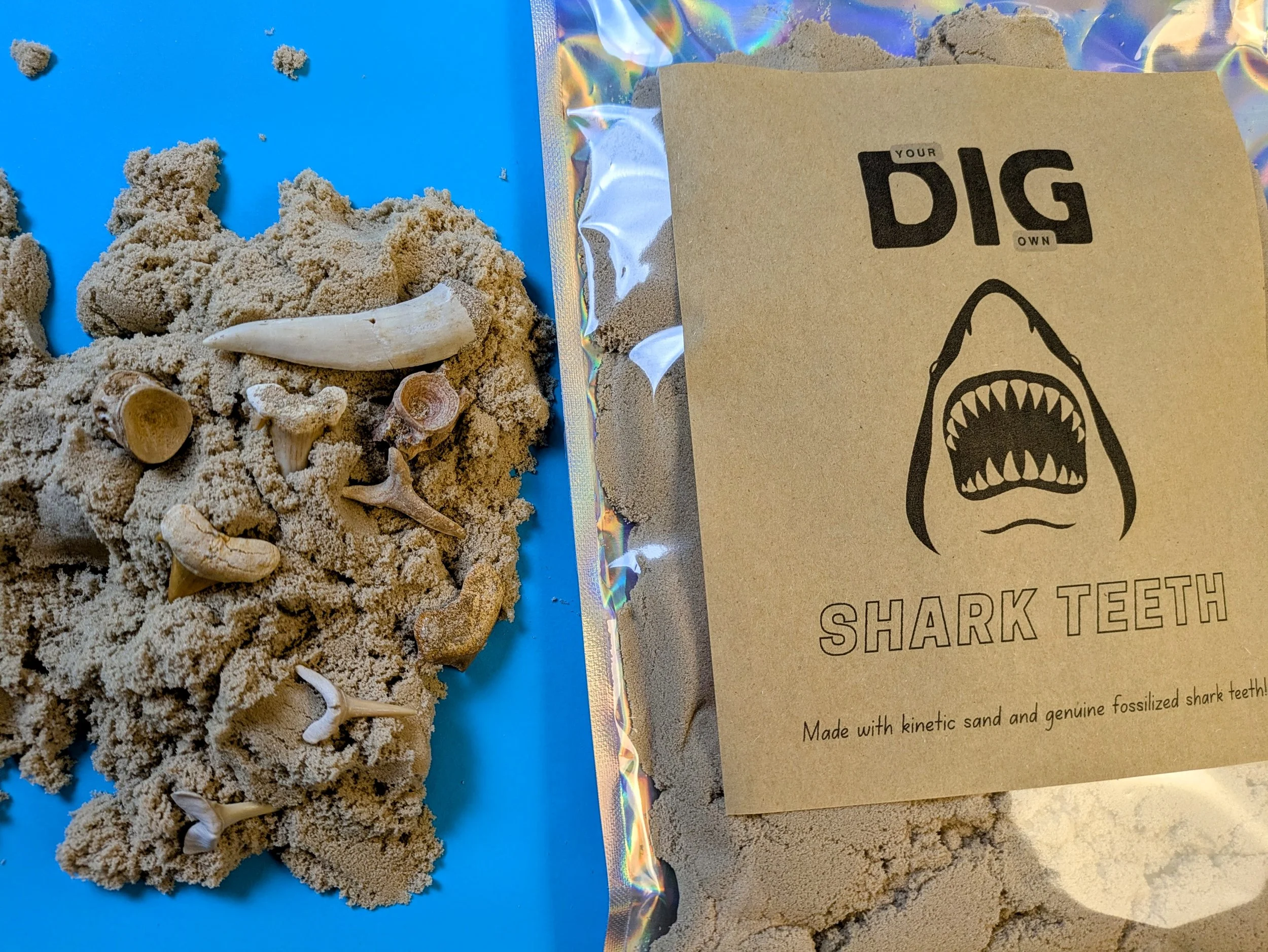 DIG FOR YOUR OWN SHARK TEETH