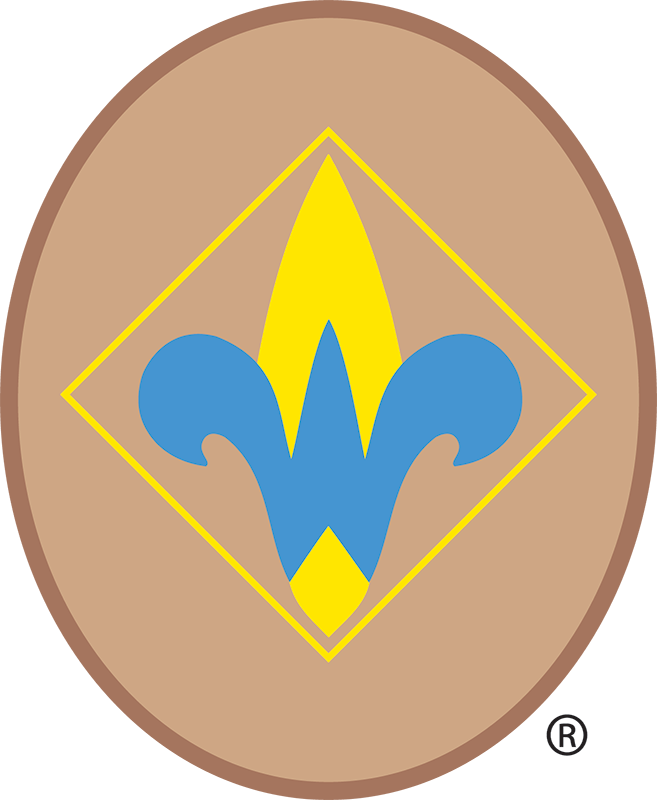 Cub Scouts Webelos Insignia