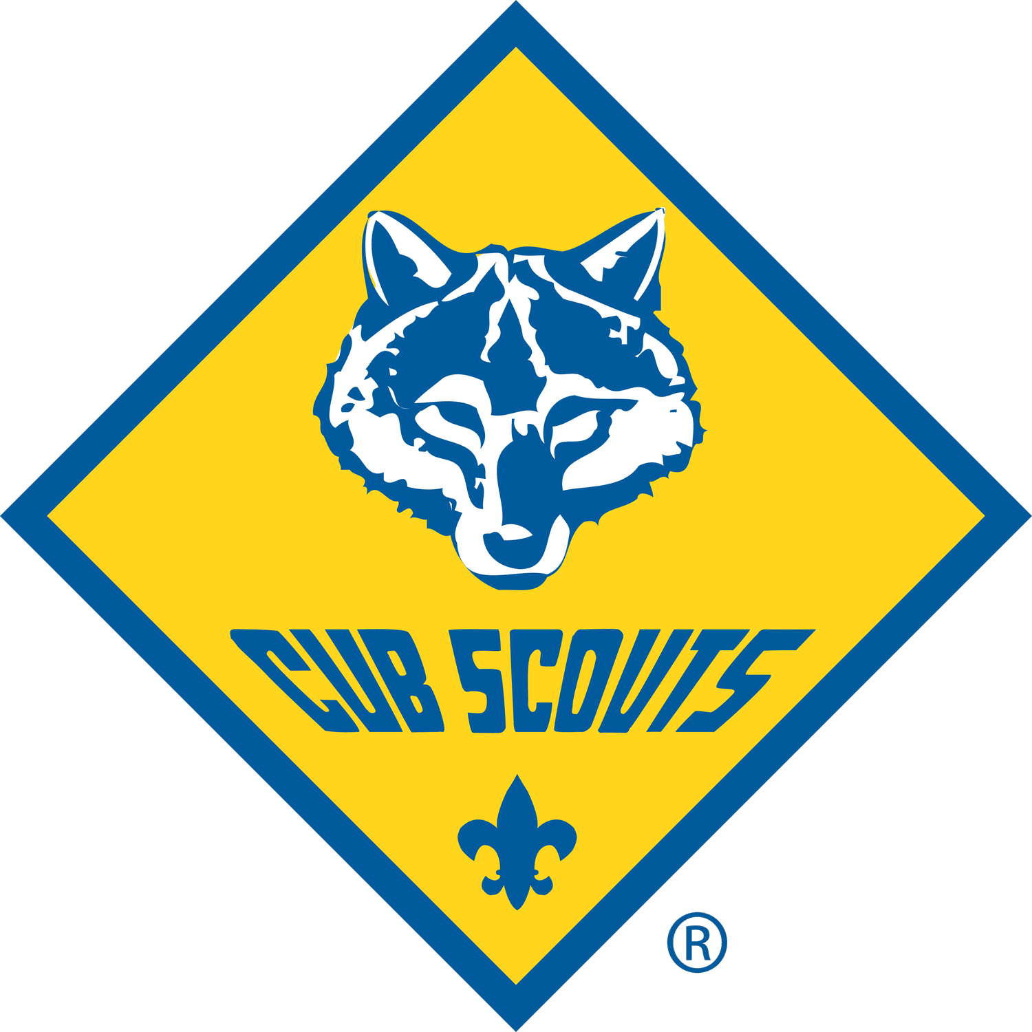 Cub Scout Pack 562