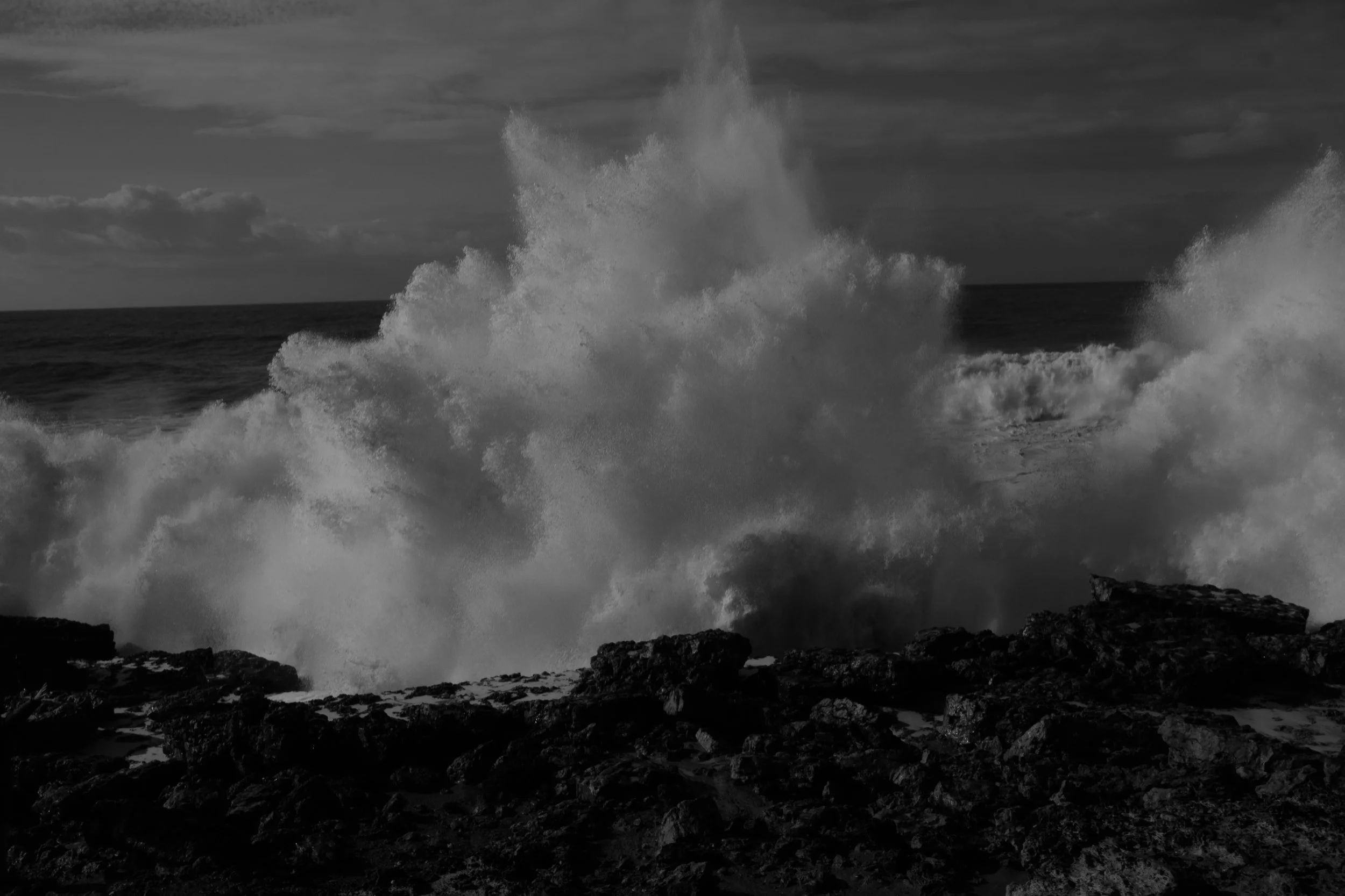 DSCF6814.jpg