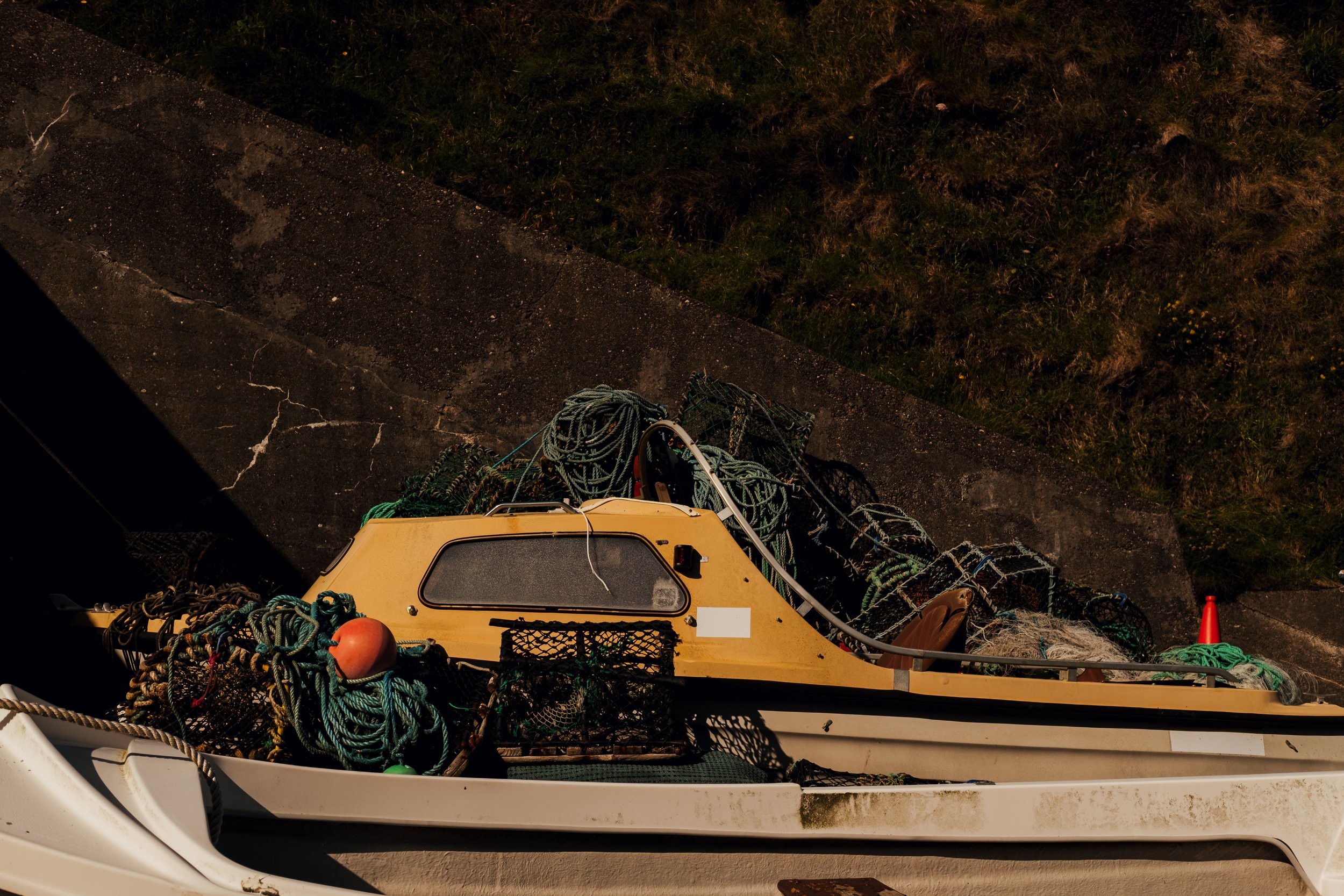 DSCF7790.jpg
