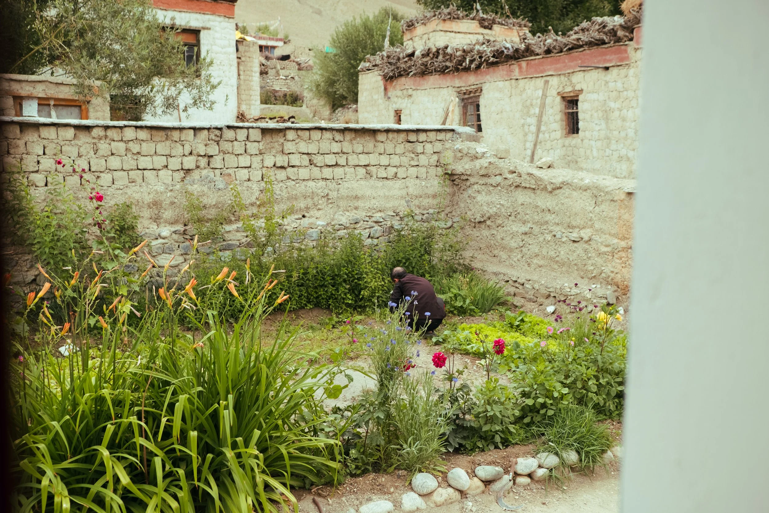 DSCF3152.jpg