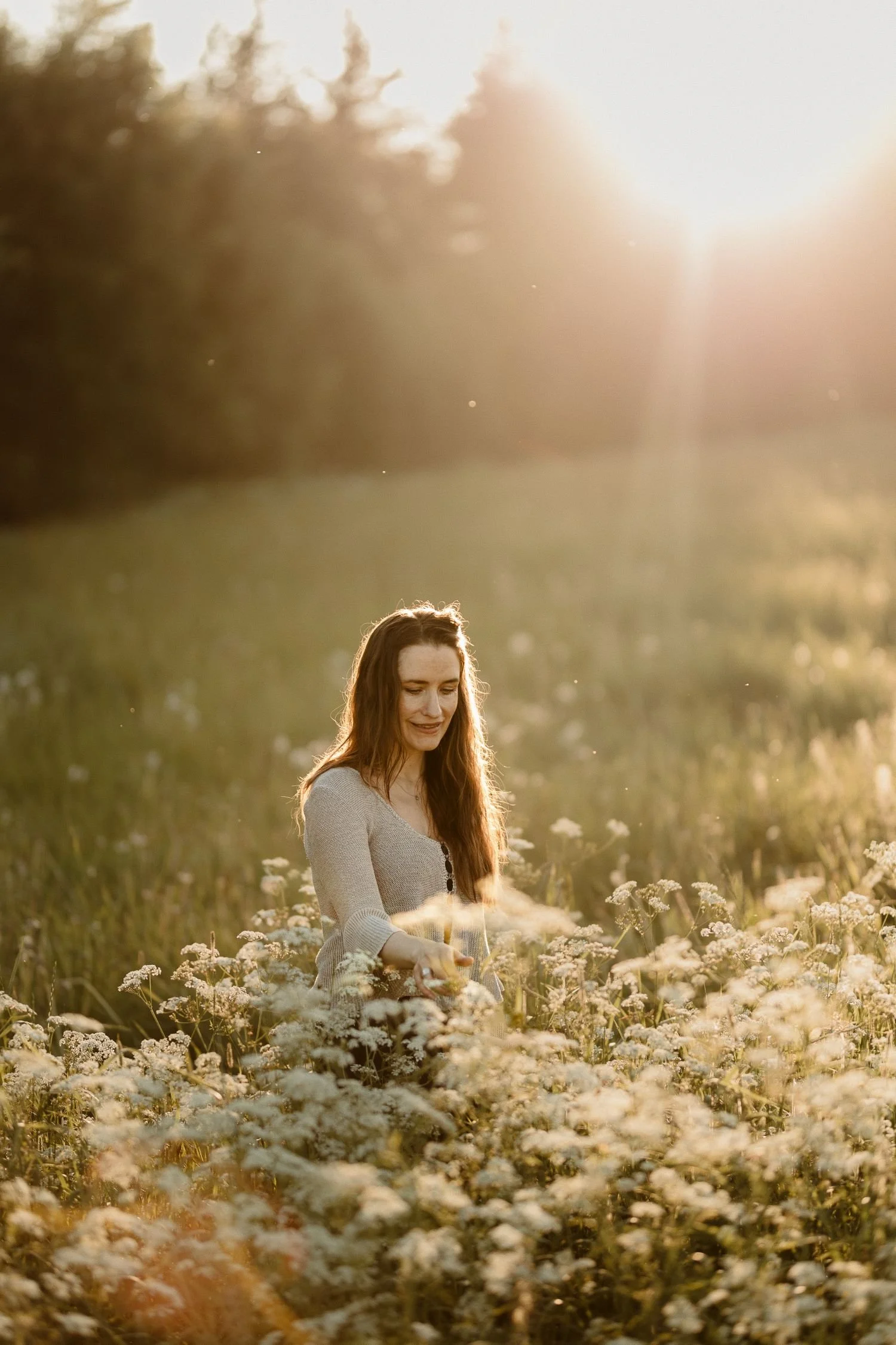 A woman with long brown hair standing in a field of white flowers during sunset, with sunlight creating a warm glow.