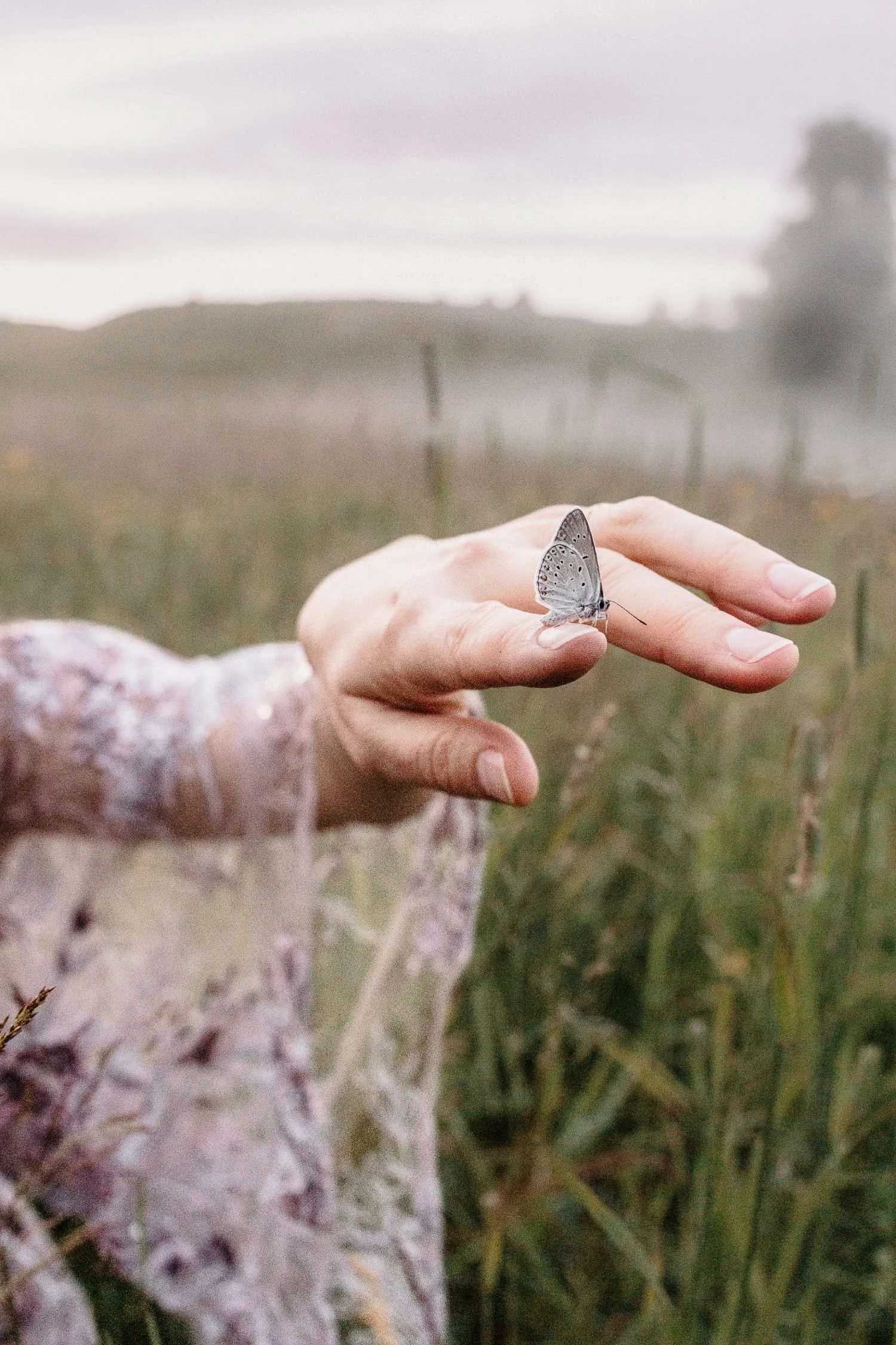 A person's hand with a small butterfly perched on their index finger outdoors, in a grassy area.