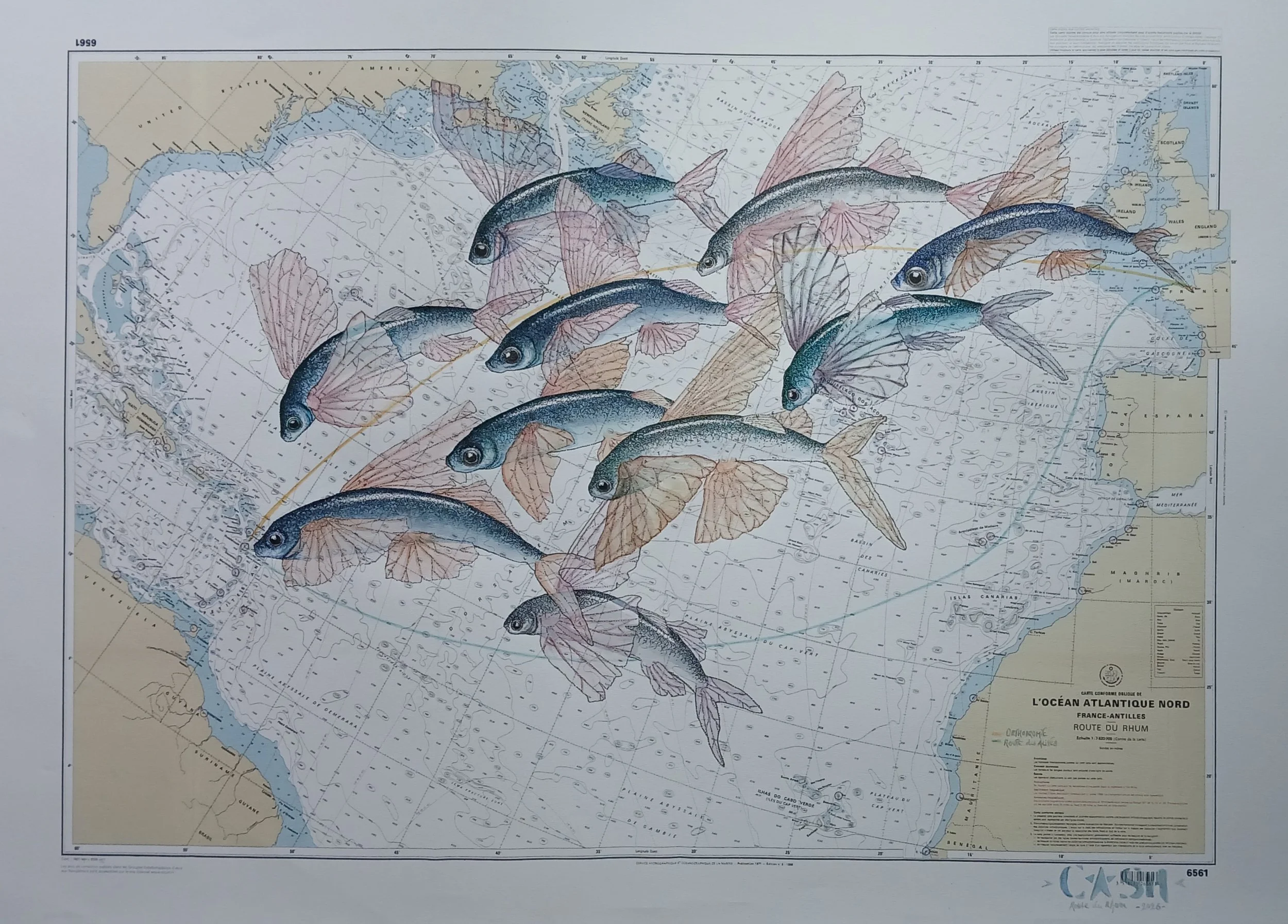 claire-hemmi-cash-art-ventes-encheres-route-du-rhum.jpg