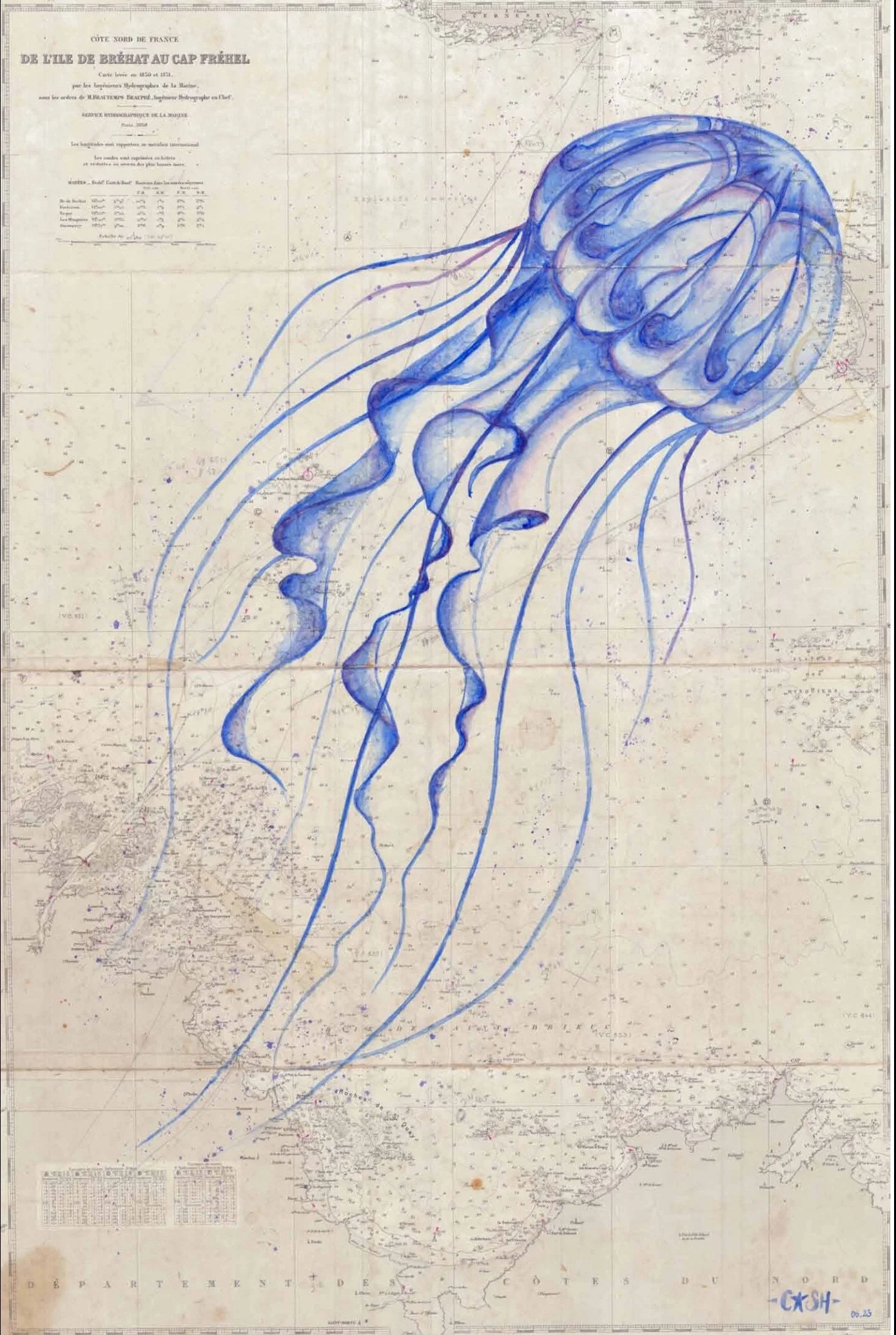 Jelly Blue