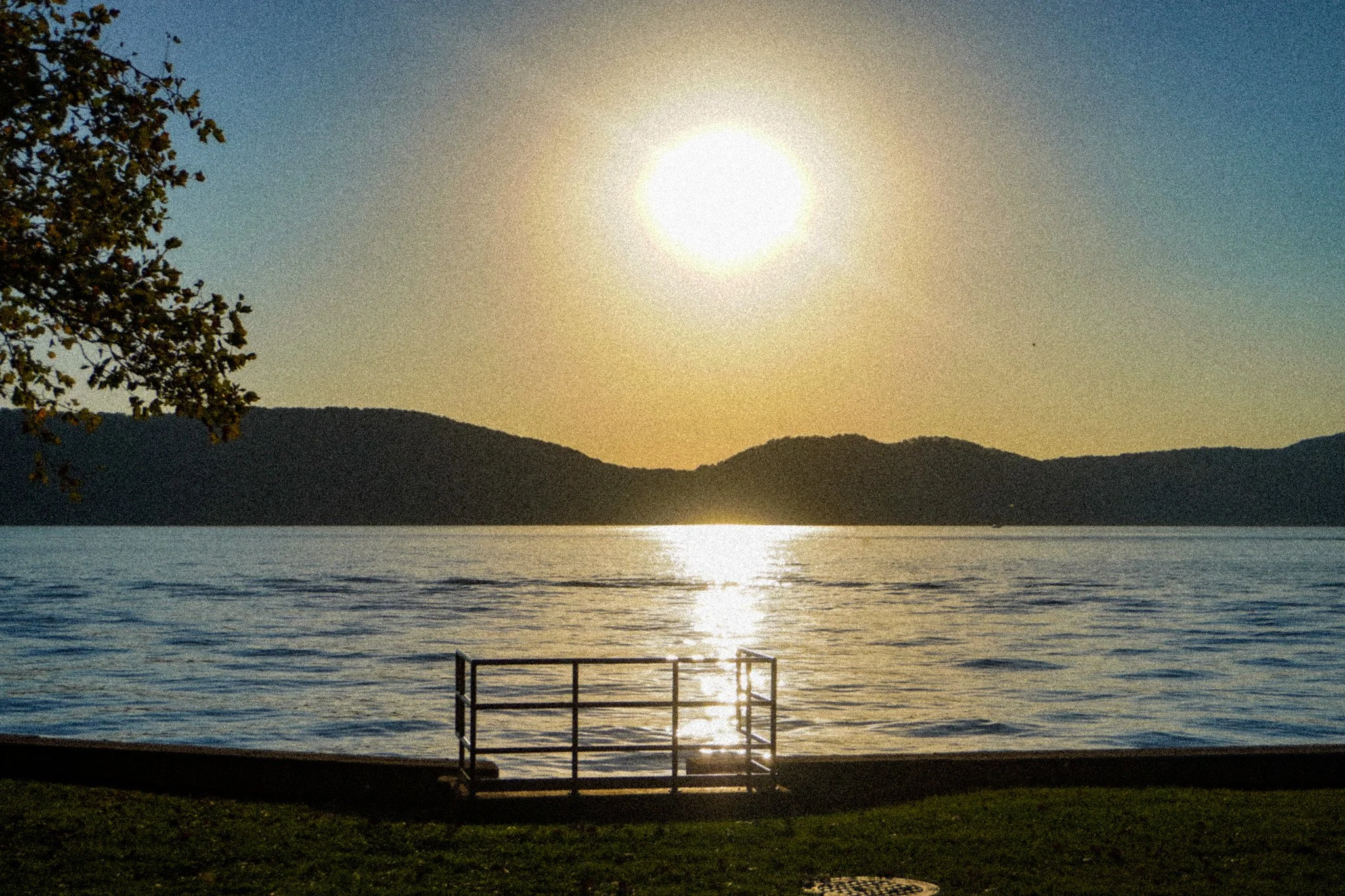 DSC02813.jpg