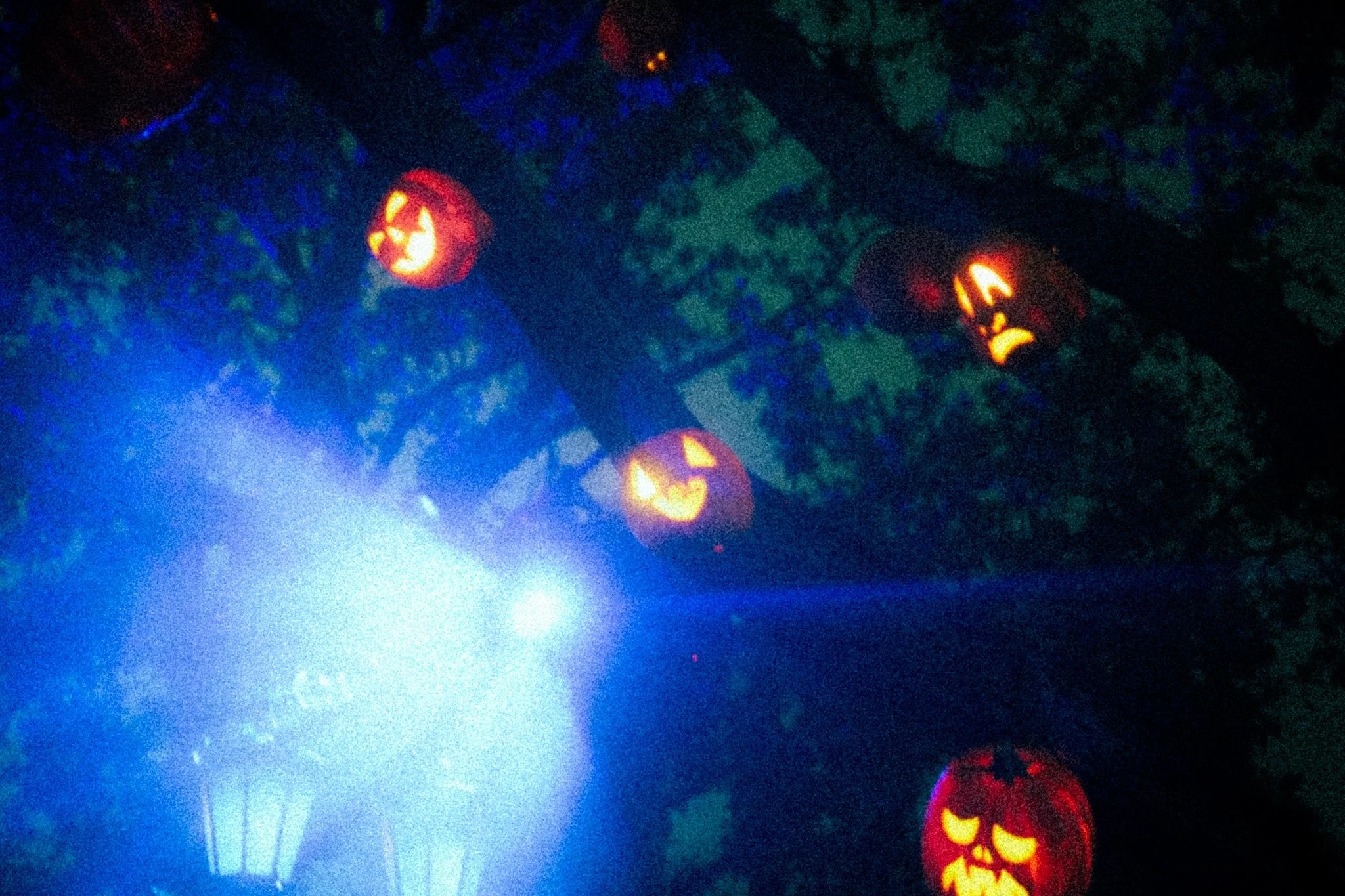DSC02900.jpg