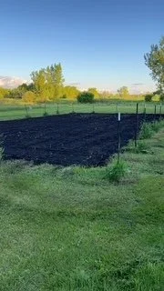 A freshly tilled or prepared garden bed with dark soil, surrounded by a grassy area, with trees and a clear sky in the background.