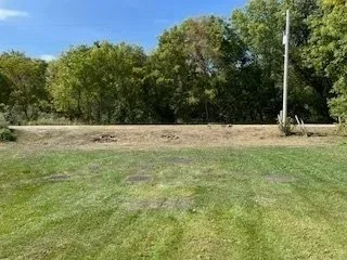 Empty grassy field with a line of trees in the background and a utility pole to the right.