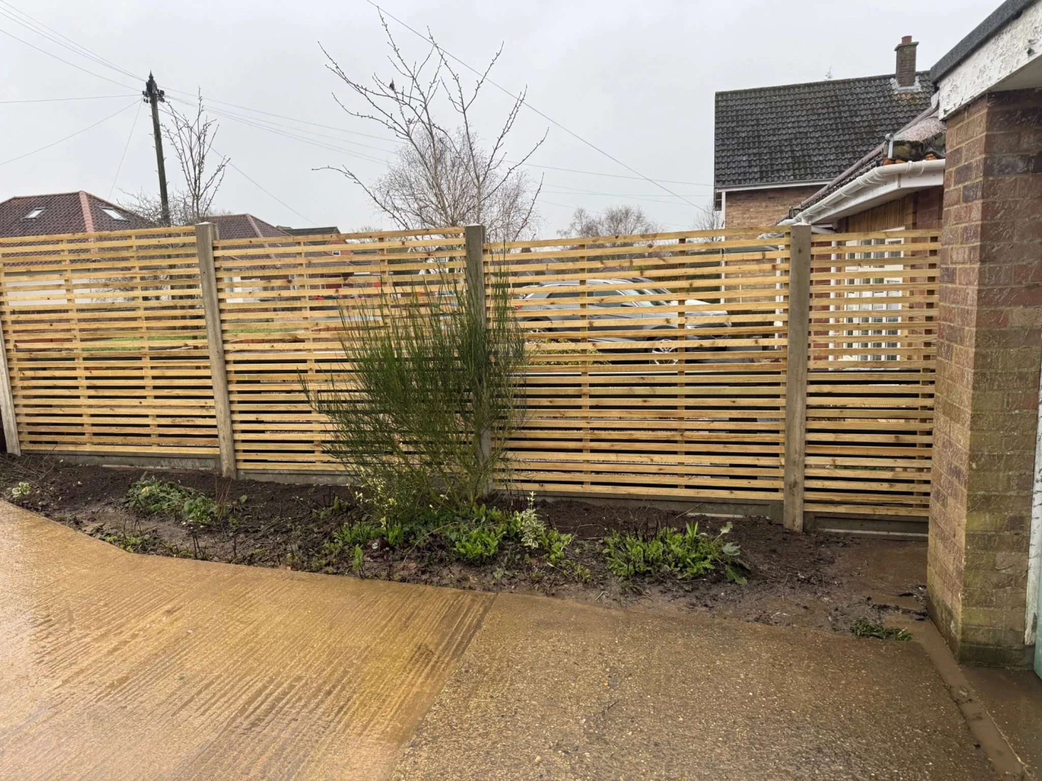 A backyard scene with a new wooden fence, a small garden bed with plants, a paved sidewalk, and part of a brick house with a black tiled roof. Overcast sky with leafless trees and power lines in the background.