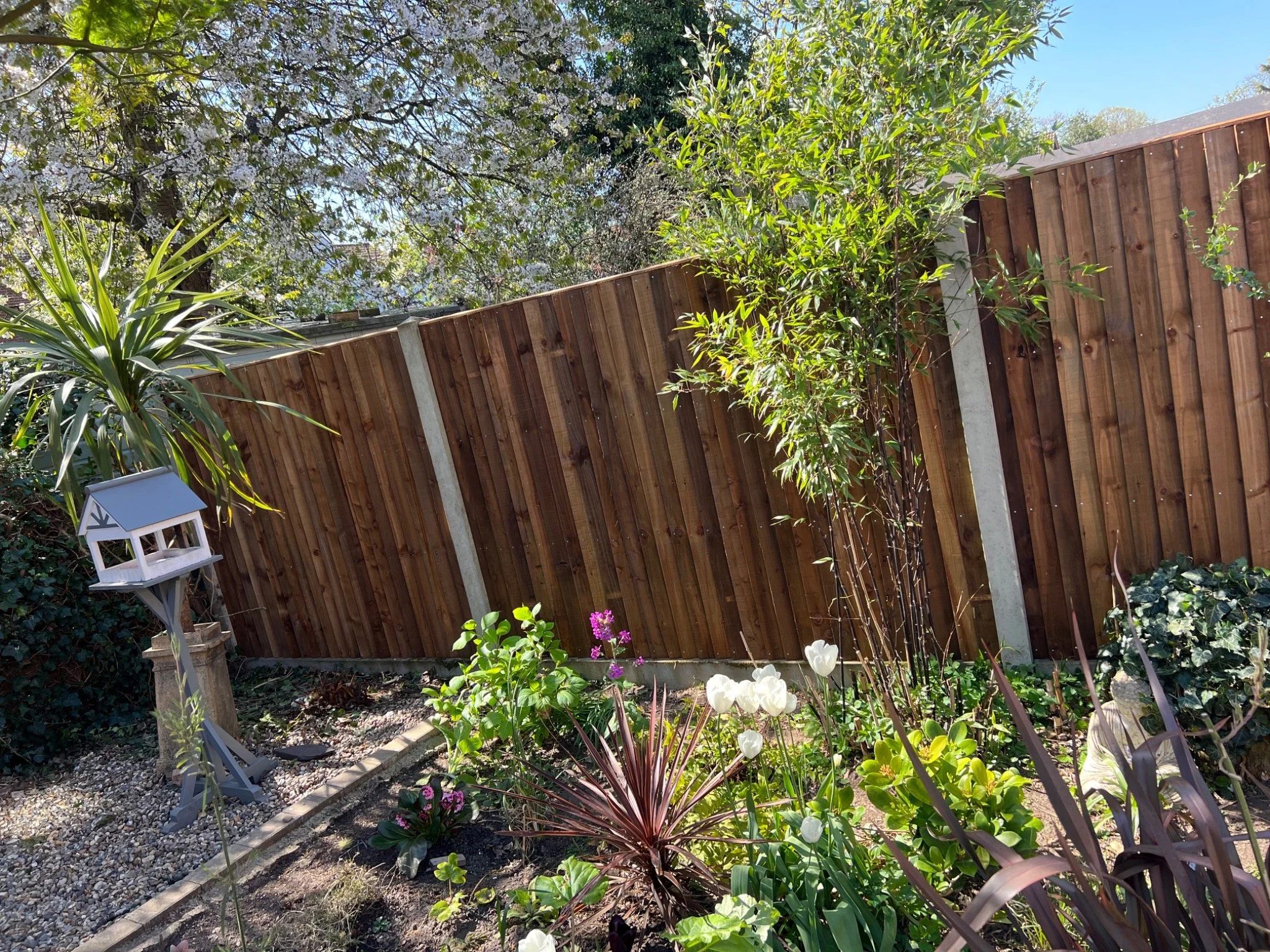 A garden with various plants and flowers, a wooden fence, and a decorative birdhouse on a stand.