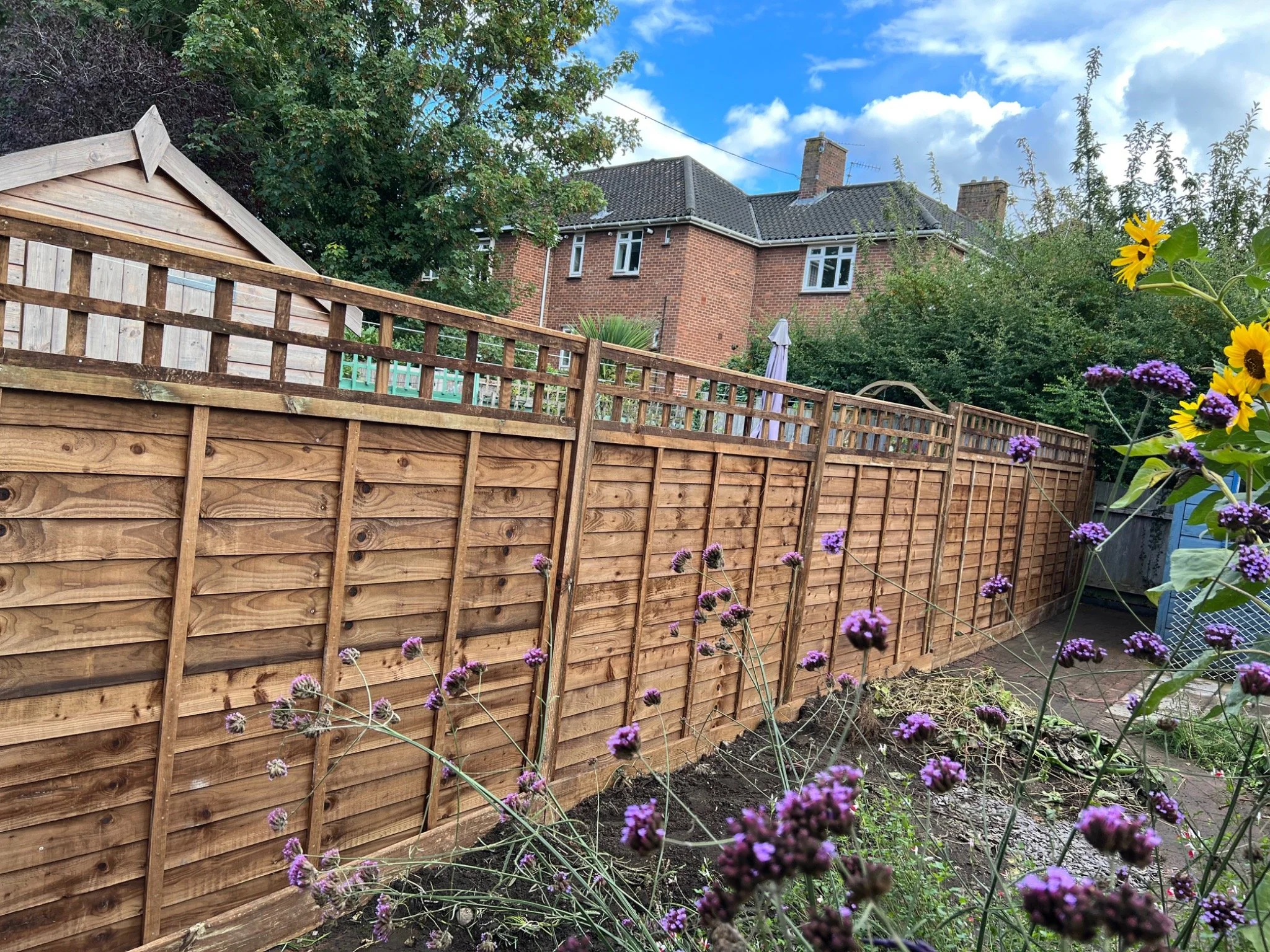 A residential backyard with a wooden fence, blooming purple and yellow flowers in the garden, and a brick house with multiple windows in the background. The sky is partly cloudy.