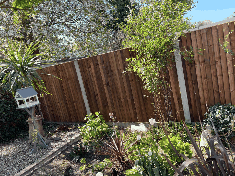 Backyard garden with a tall wooden fence, various plants, a birdhouse, and a clear sky.