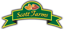 Scott Farms logo with a green and yellow ribbon design featuring leaves and a sweet potato illustration.