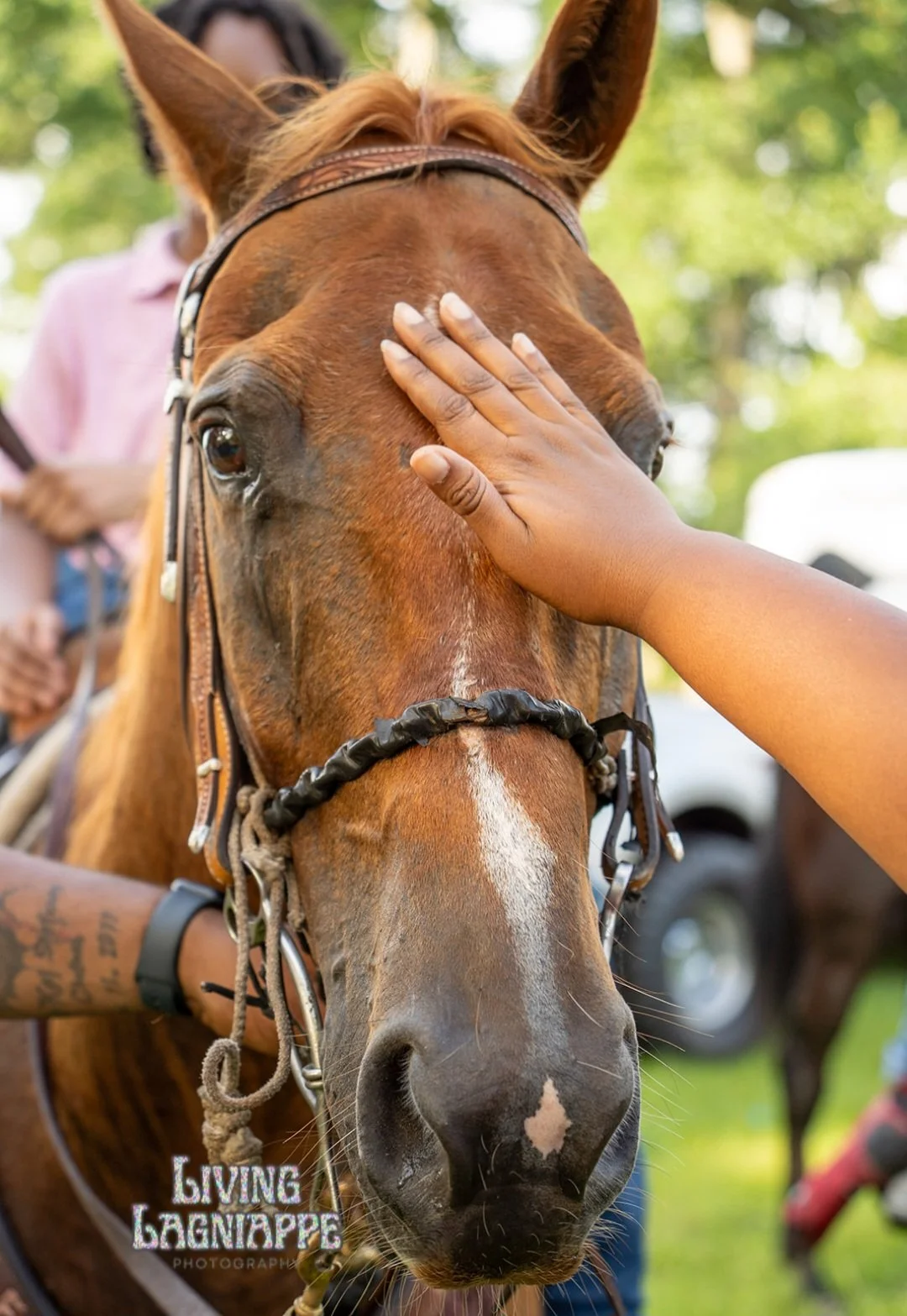 A child gently pets a horse during an outdoor community event.