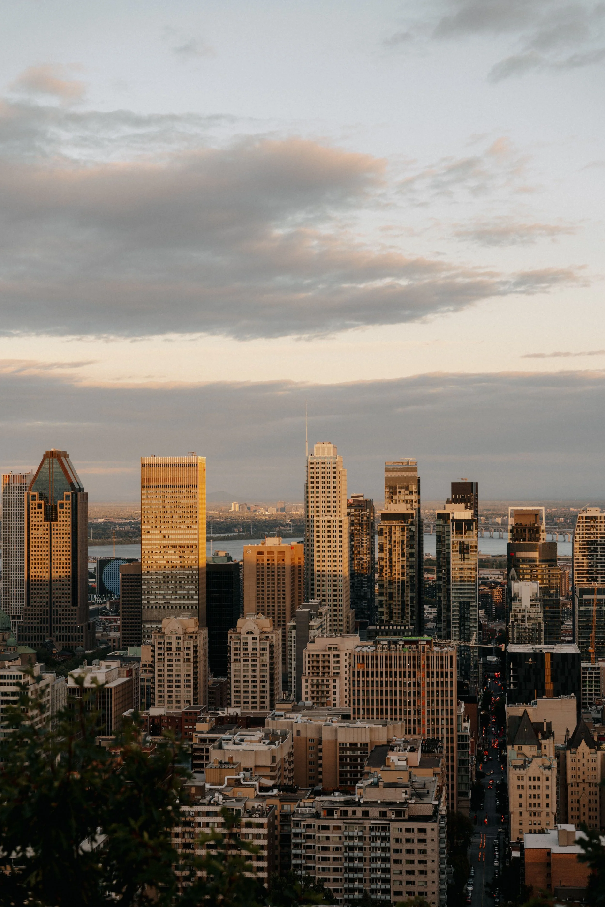 Vue sur le centre-ville de Montréal et le fleuve depuis les condos locatifs Square Phillips