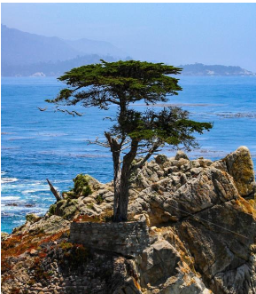 5-Days on the Monterey Peninsula
